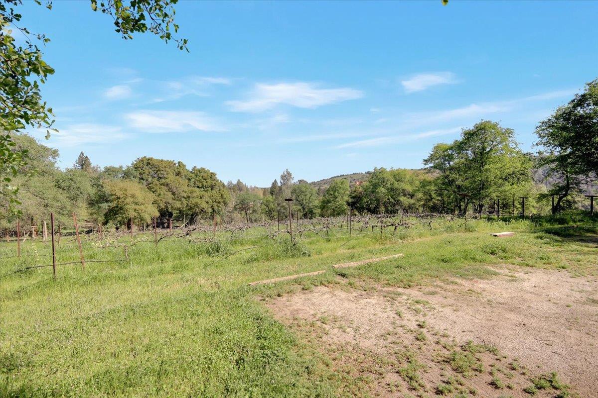 9735 Stackhouse Lane Oregon House, CA 95962 - Photo 86 of 99