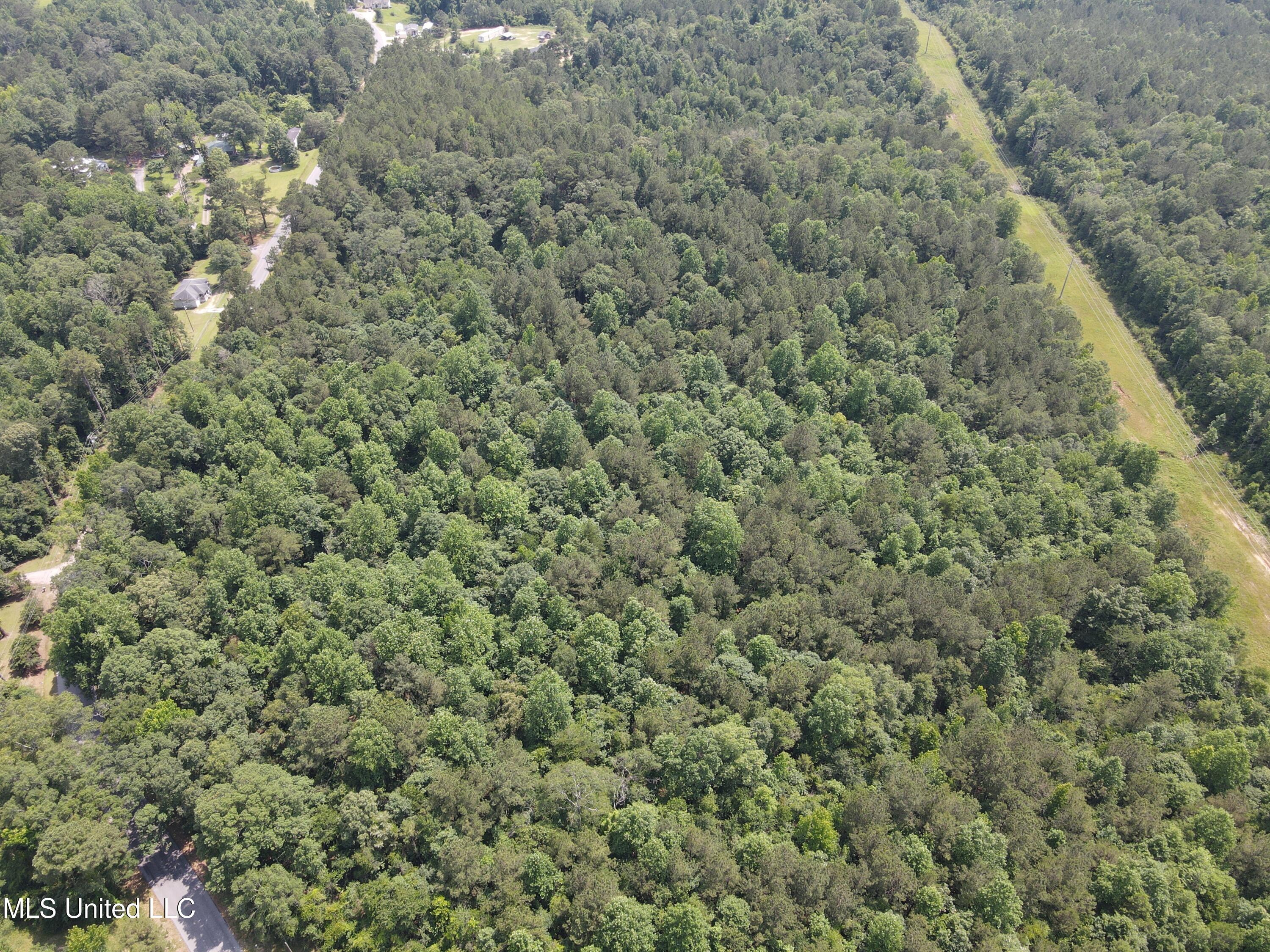 37 County Road Heidelberg, MS 39439 - Photo 11 of 19 dji_fly_20250603_143554_14_1748979522341