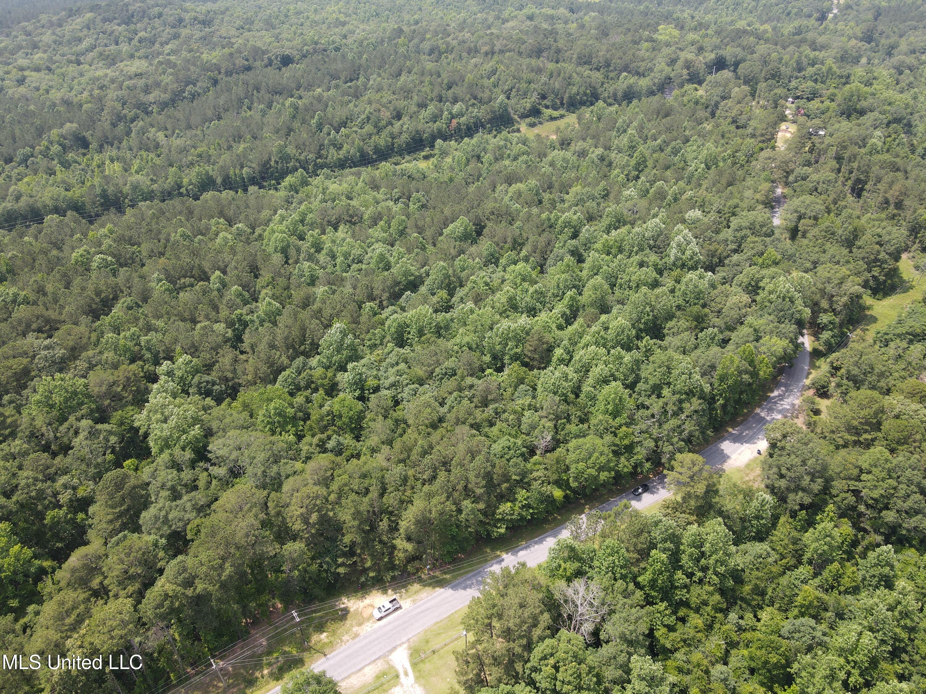 37 County Road Heidelberg, MS 39439 - Photo 14 of 19 dji_fly_20250603_143456_11_1748979554297