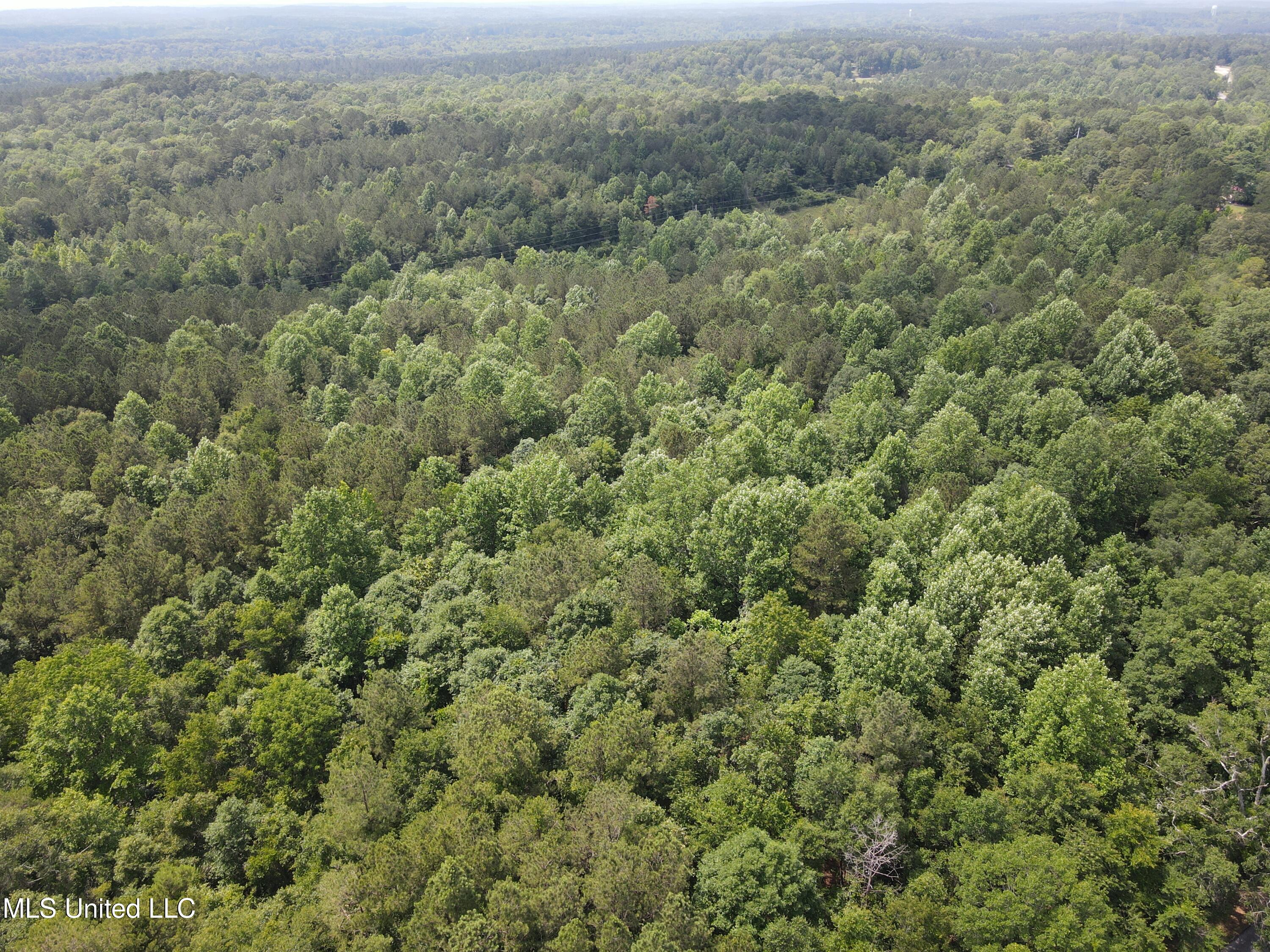 37 County Road Heidelberg, MS 39439 - Photo 17 of 19 dji_fly_20250603_143900_21_1748979611776