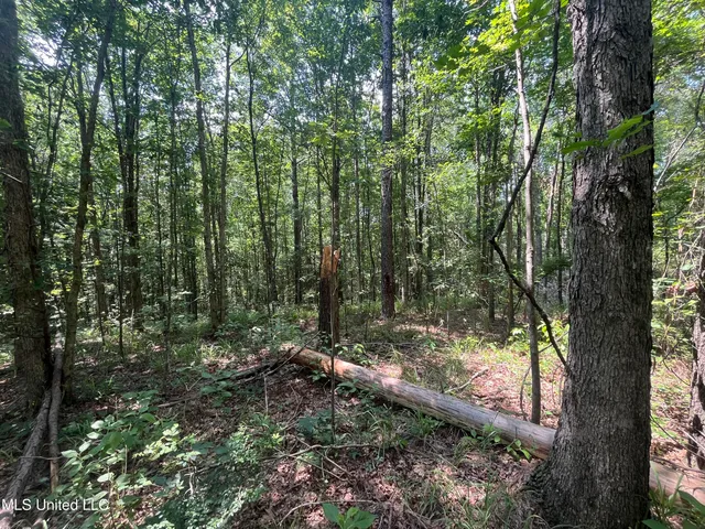 $50,000 | 37 County Road, Heidelberg, MS 39439