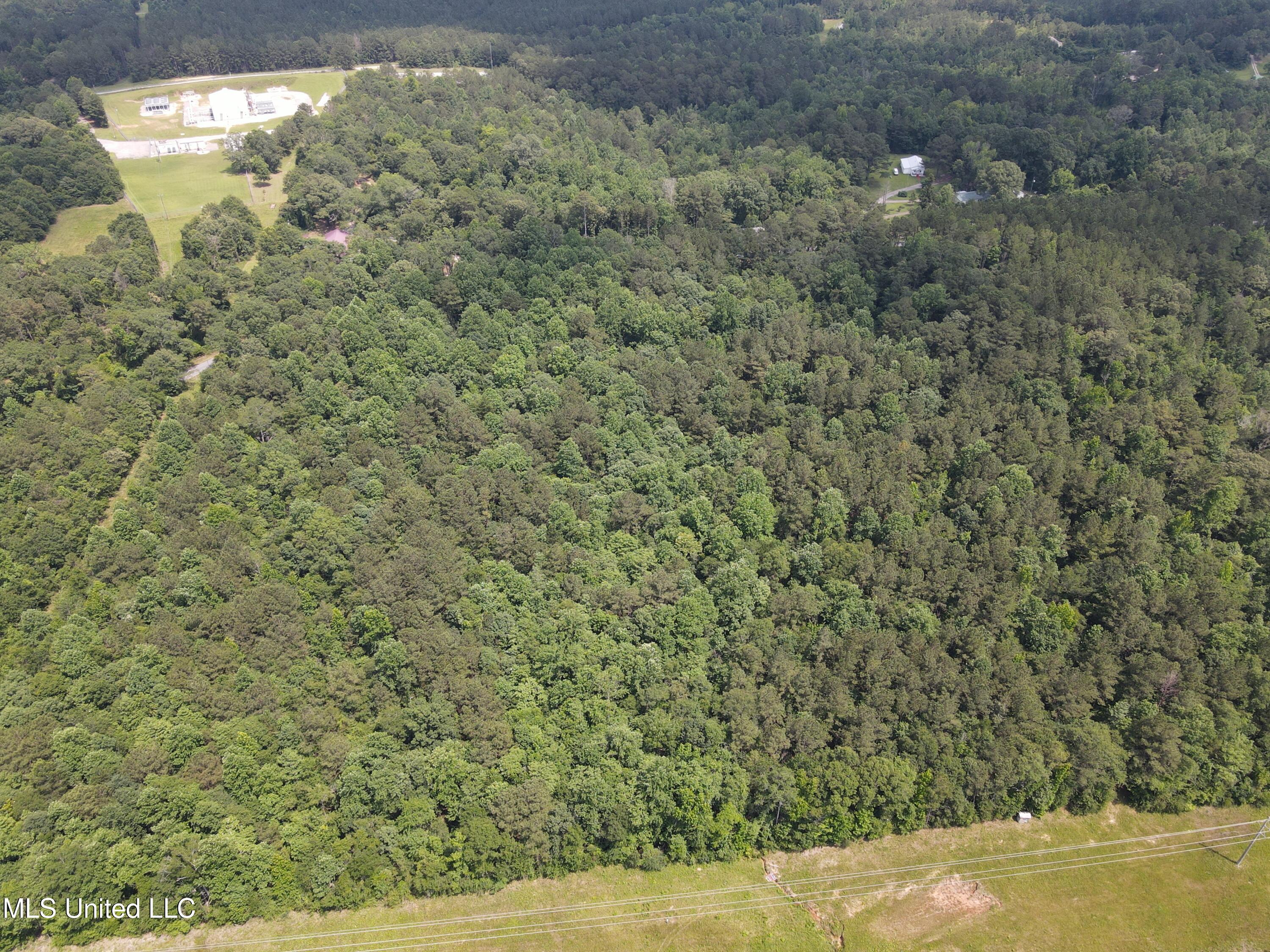 37 County Road Heidelberg, MS 39439 - Photo 6 of 19 dji_fly_20250603_143728_18_1748979475615