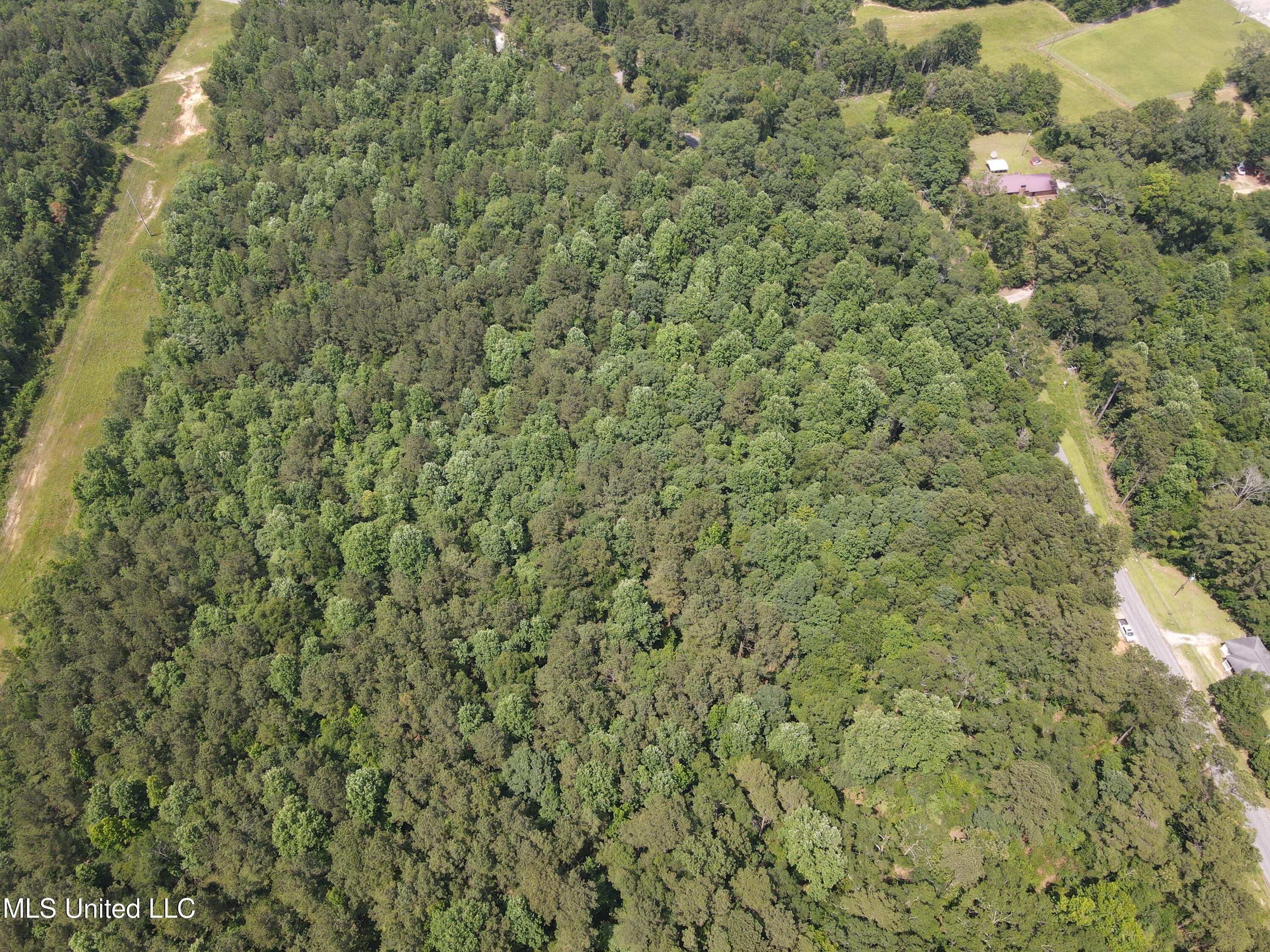 37 County Road Heidelberg, MS 39439 - Photo 7 of 19 dji_fly_20250603_143640_16_1748979490778
