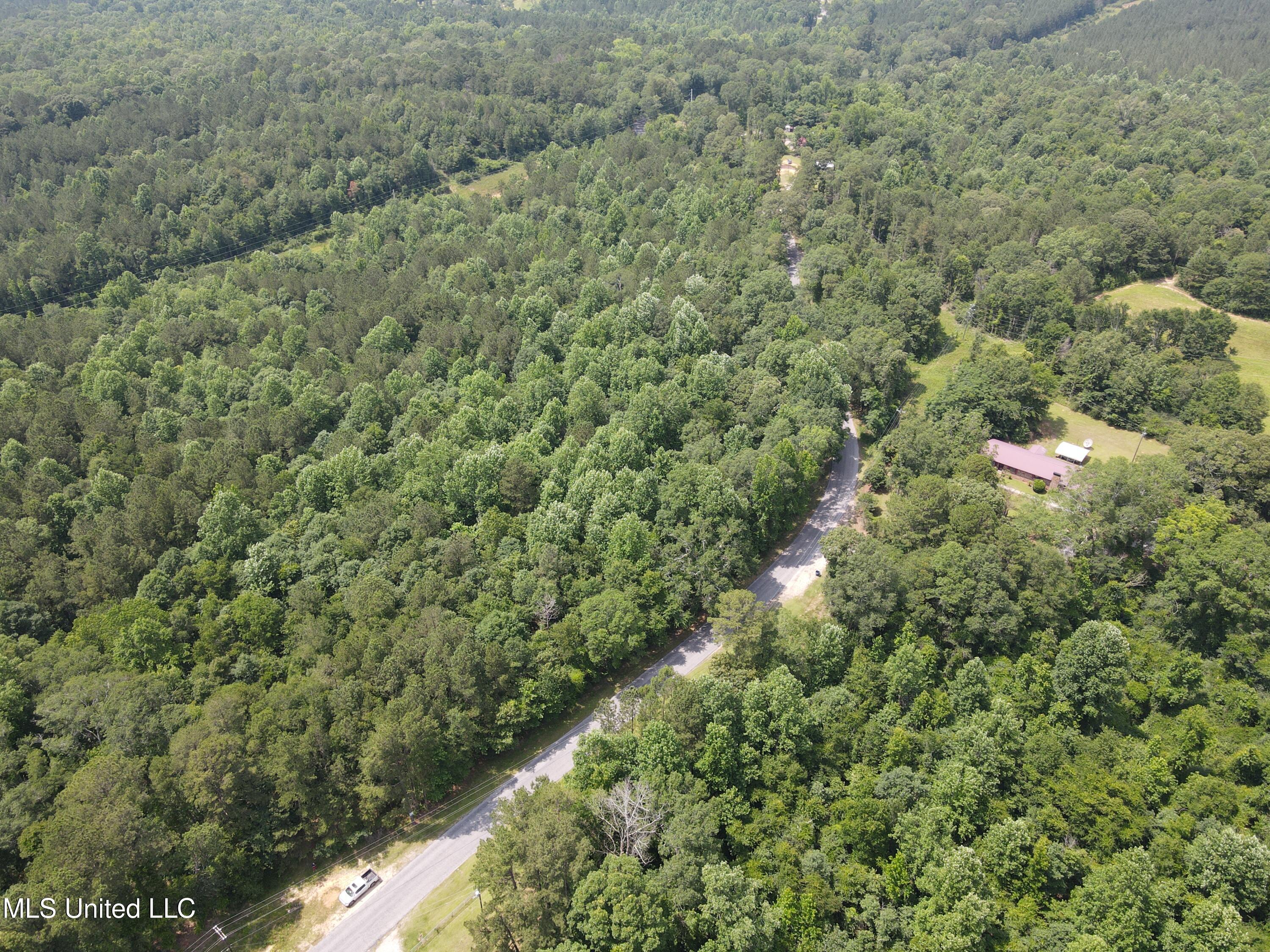 37 County Road Heidelberg, MS 39439 - Photo 10 of 19 dji_fly_20250603_143502_13_1748979529022