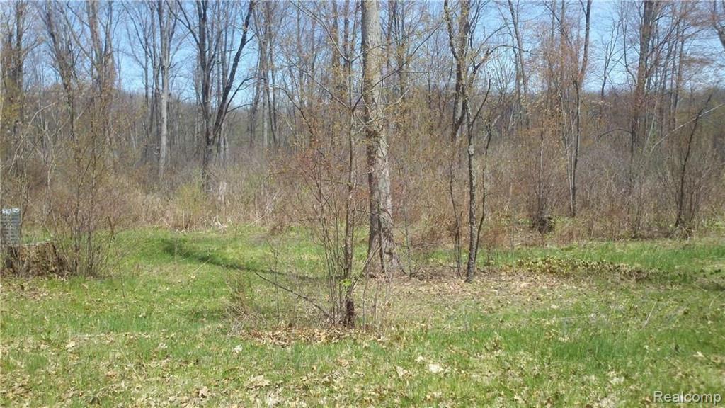 V/l V/l Doyle Road Pinckney, MI 48169 - Photo 20 of 24