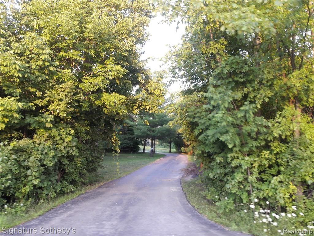 5000 Lake Pleasant Road North Branch, MI 48461 - Photo 33 of 34 View just off the road . Look at this beautiful asphalt driveway ! The trees, the woods, the privacy, the seclusion that no one can see from the road... its all yours!!