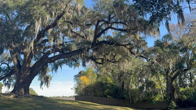 $815,000 | 16 North Basilica Avenue, Hanahan, SC 29410