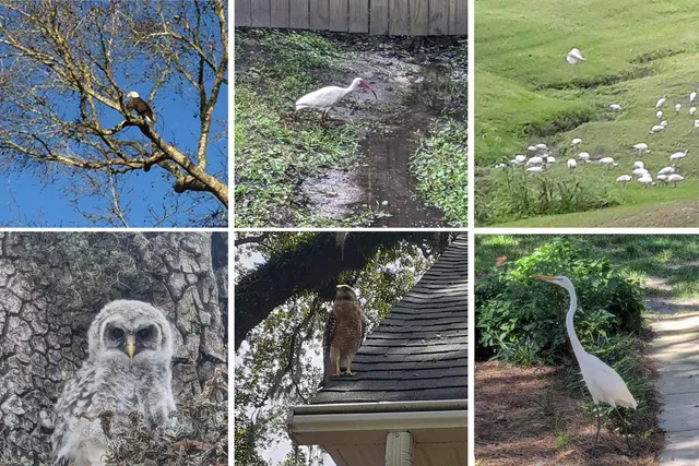 $815,000 | 16 North Basilica Avenue, Hanahan, SC 29410