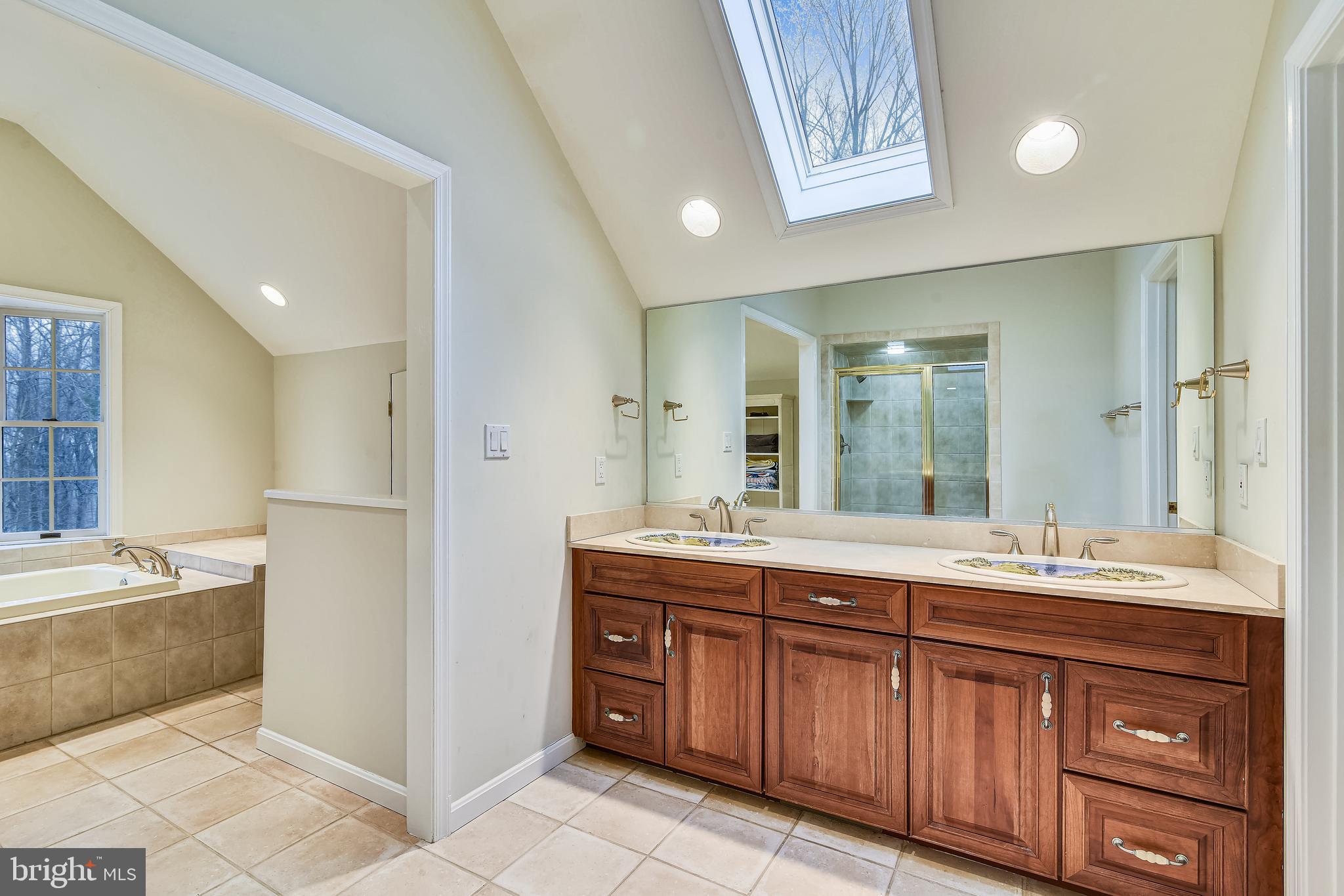 19366 Loudoun Orchard Road Leesburg, VA 20175 - Photo 22 of 40 Spacious spa like MBA with skylights