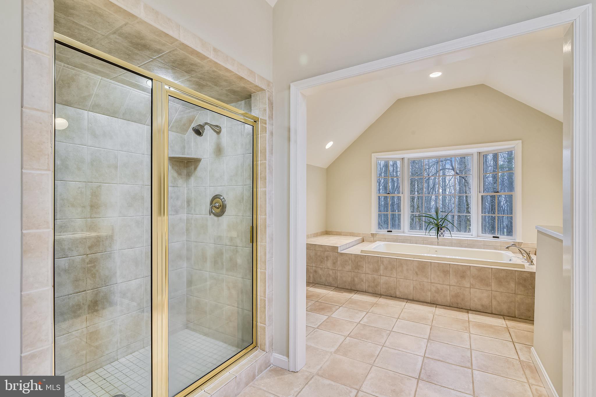 19366 Loudoun Orchard Road Leesburg, VA 20175 - Photo 23 of 40 Separate shower & soaking tub framed with ceramic