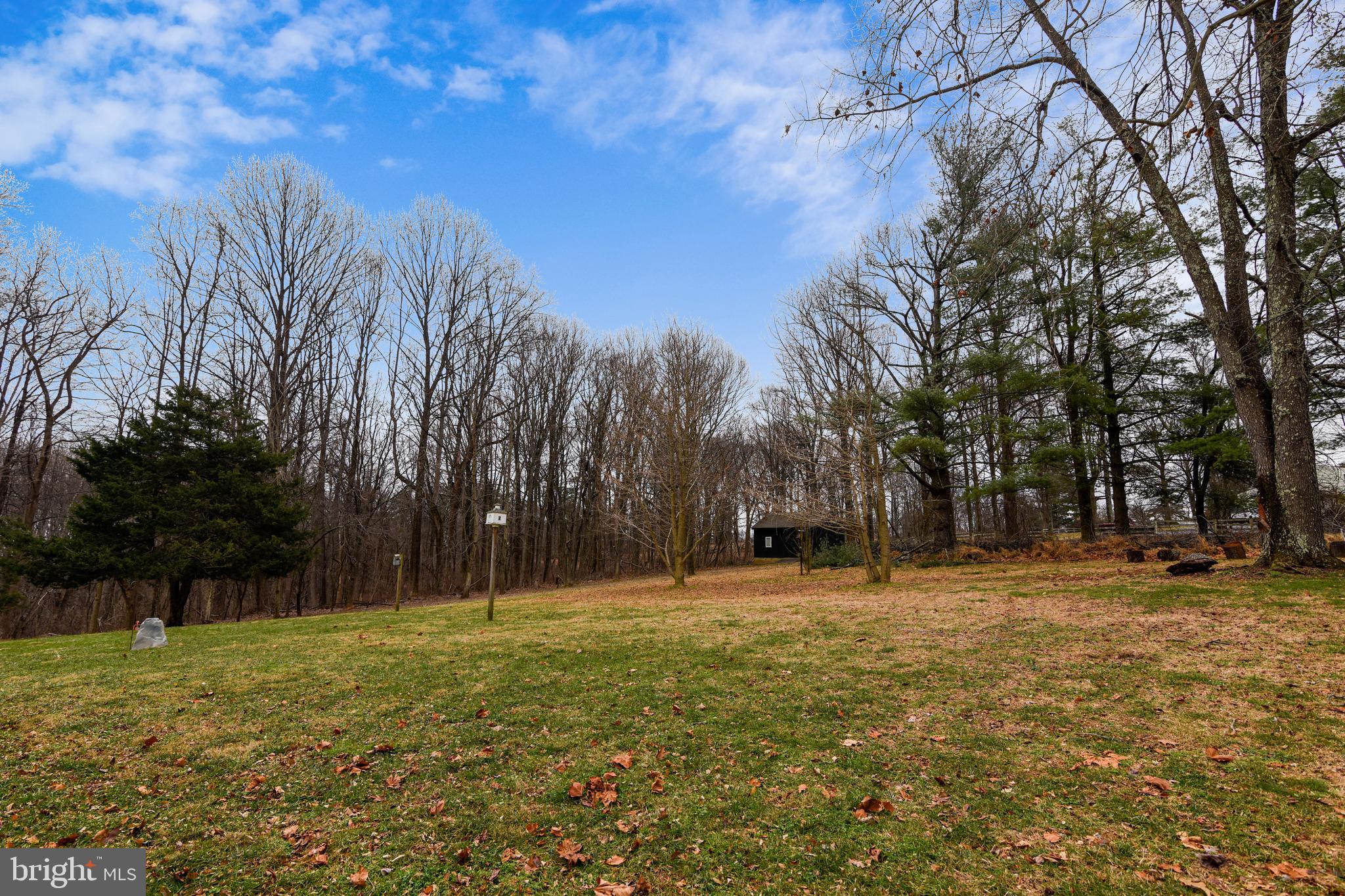 19366 Loudoun Orchard Road Leesburg, VA 20175 - Photo 38 of 40 Mature hardwoods gracefully border the property