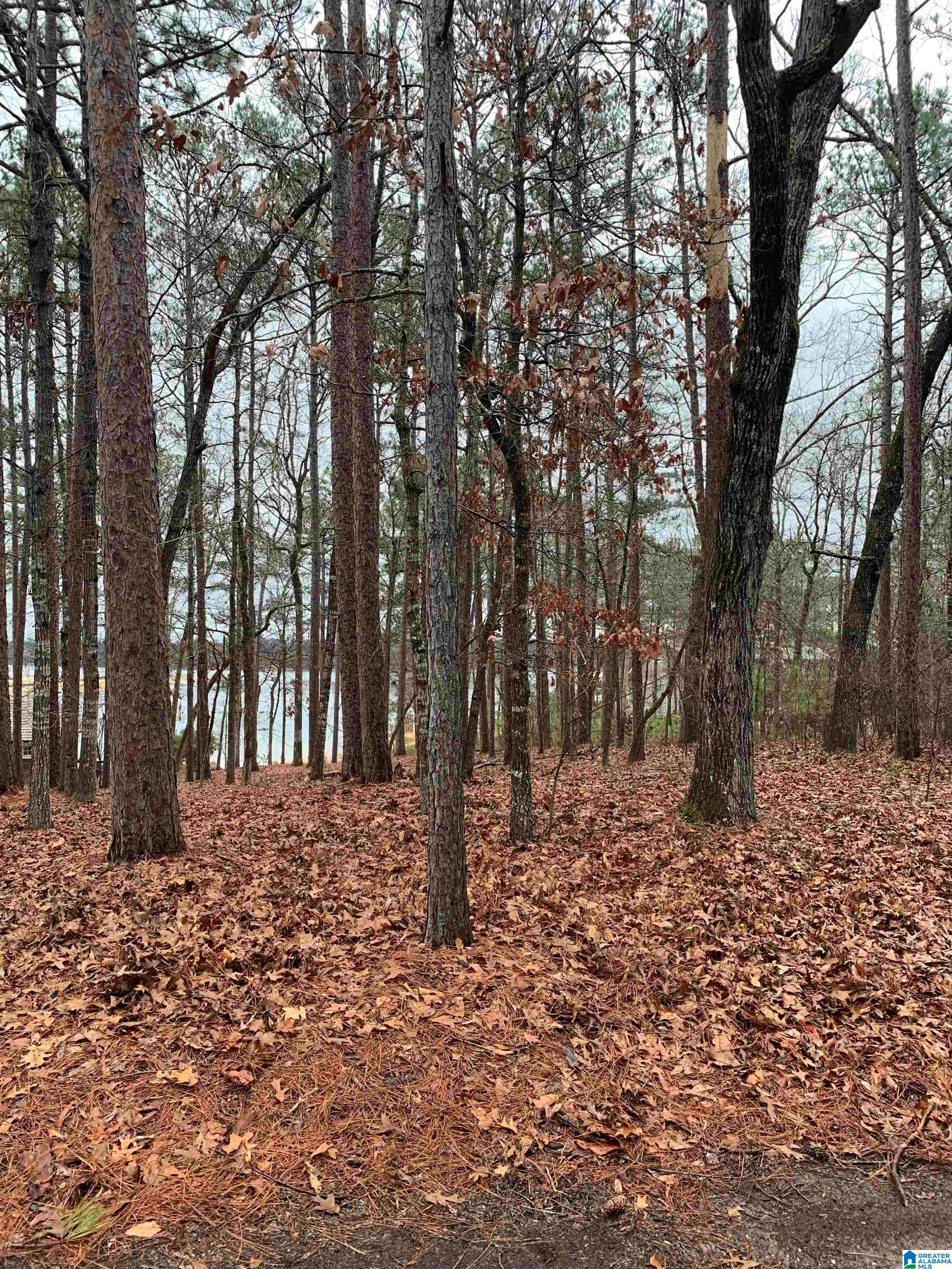 Windy Way, Unit 49 Alexander City, AL 35010 - Photo 4 of 17