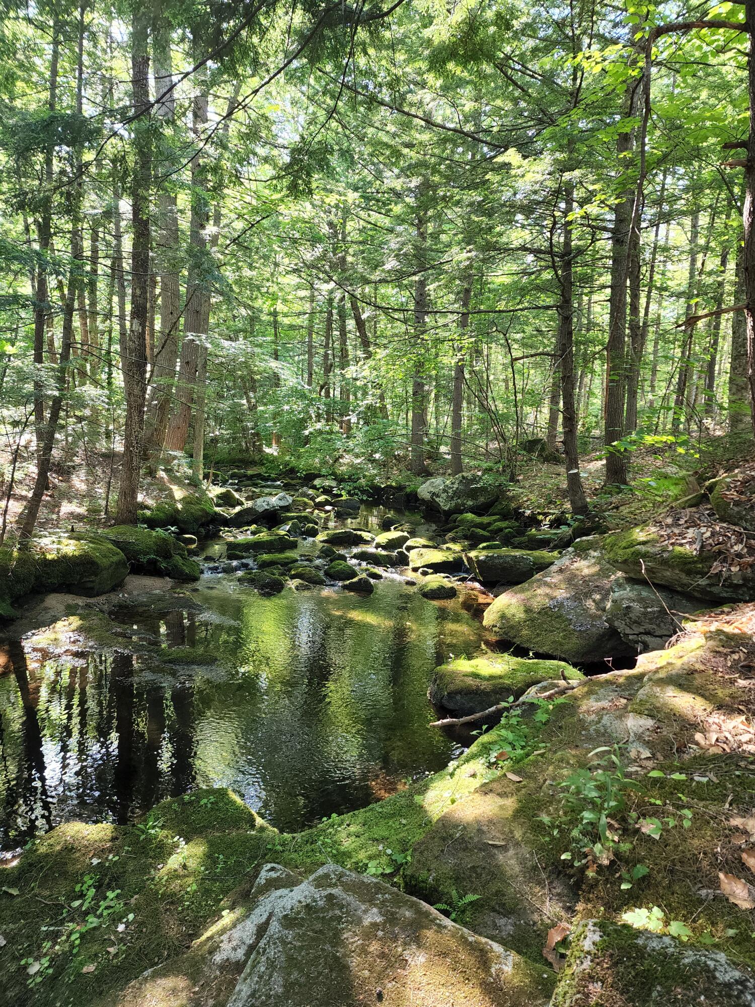 177 Sweden Road Waterford, ME 04088 - Photo 45 of 64 Mutiny Brook