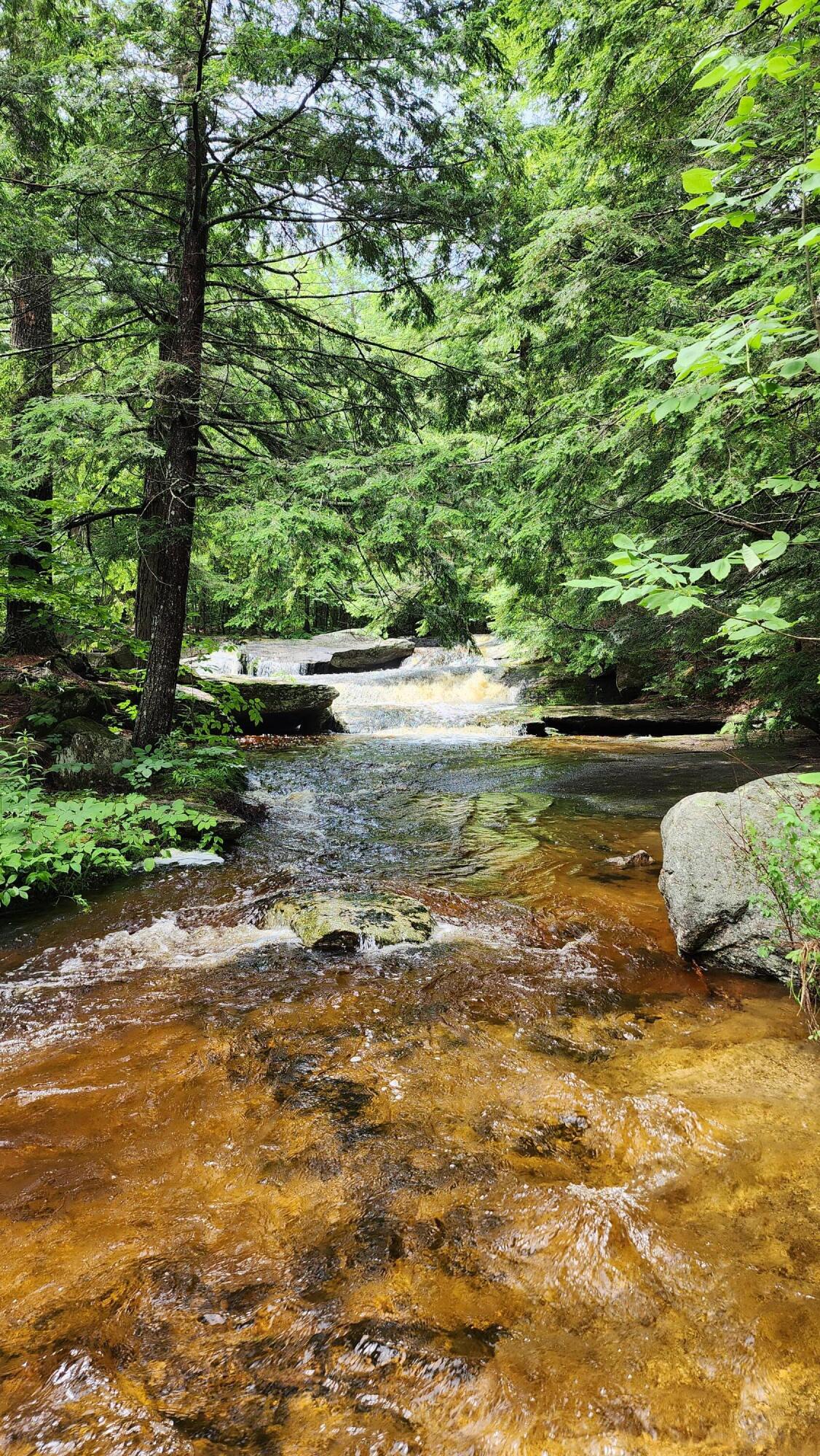 177 Sweden Road Waterford, ME 04088 - Photo 46 of 64 Mutiny Brook