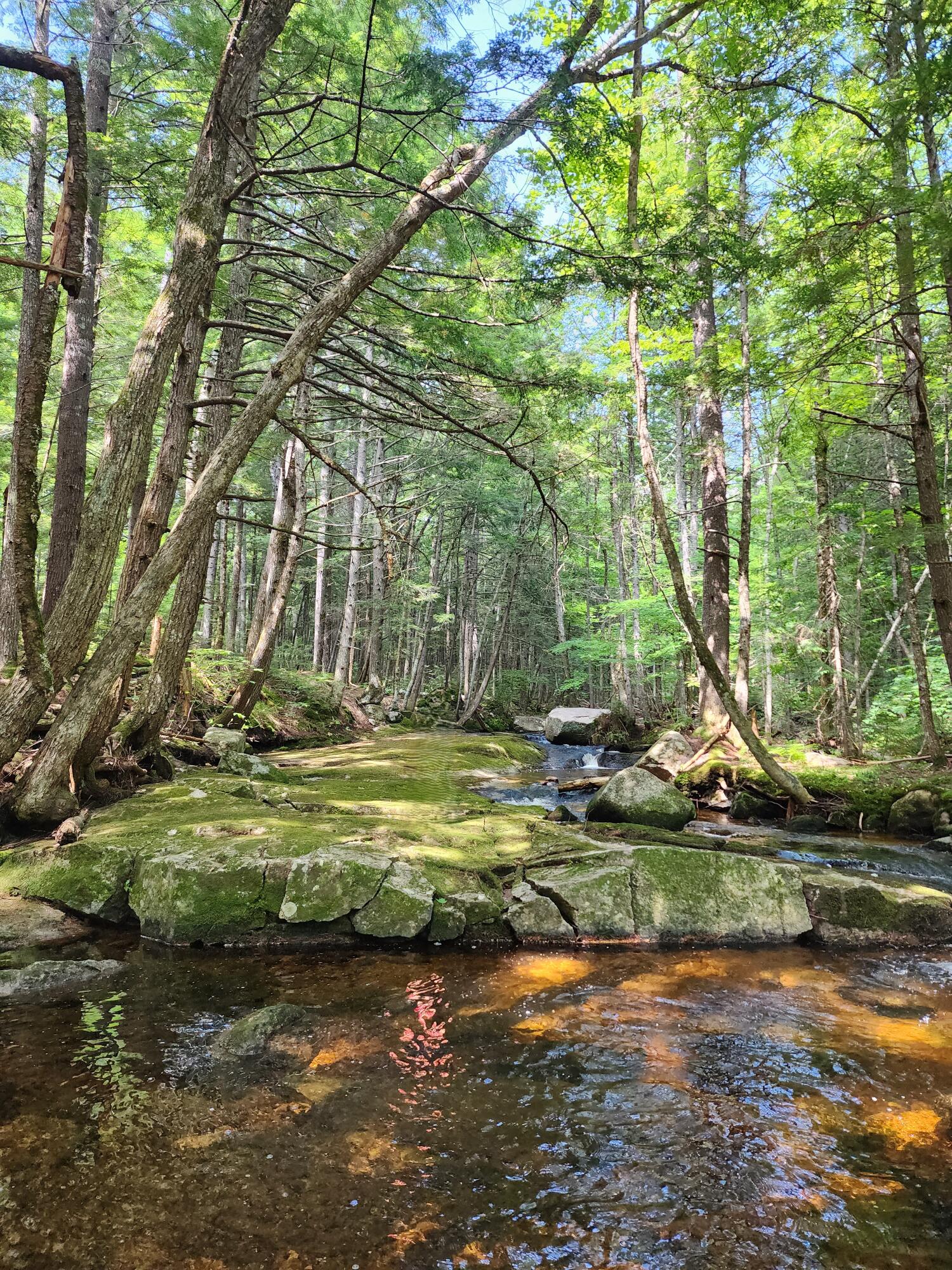 177 Sweden Road Waterford, ME 04088 - Photo 47 of 64 mutiny8