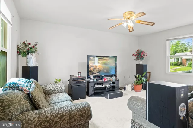 a living room with furniture flowerpot and a chandelier