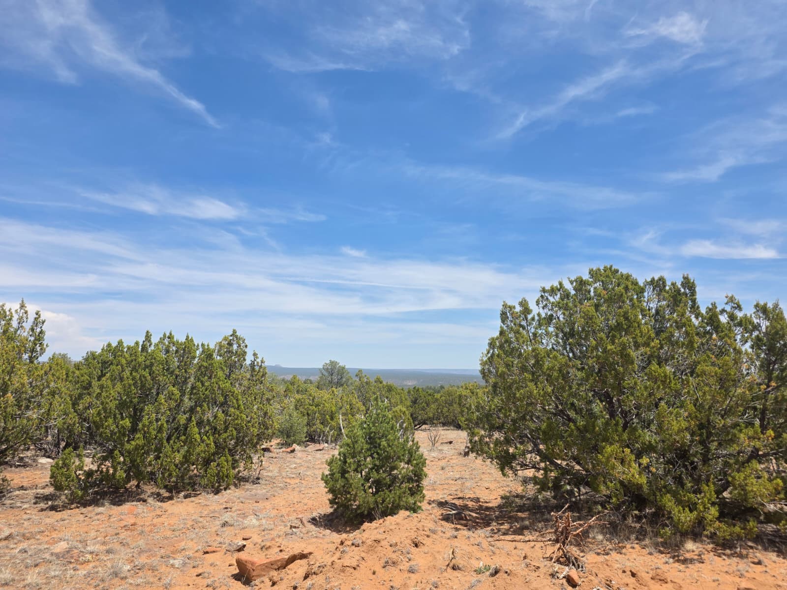 0 County Rd B28A Ribera, NM 87560 - Photo 6 of 32