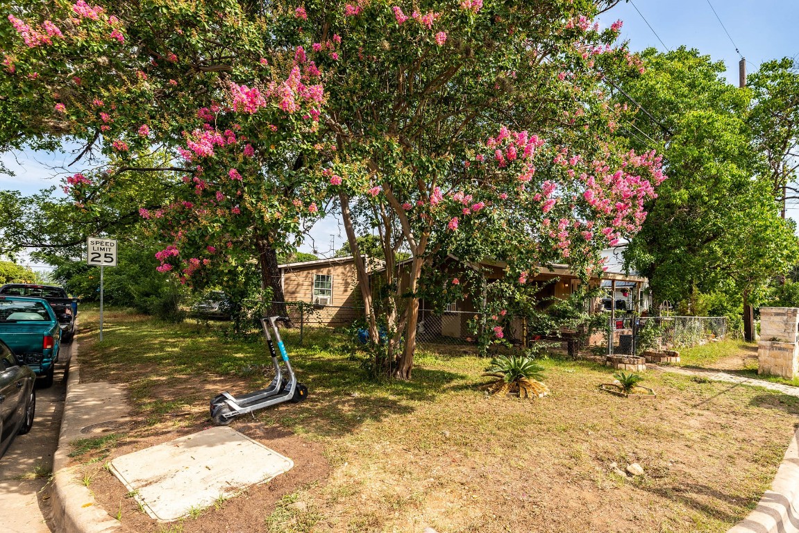 1144 Mason Avenue Austin, TX 78721 - Photo 21 of 37 a view of street along with trees