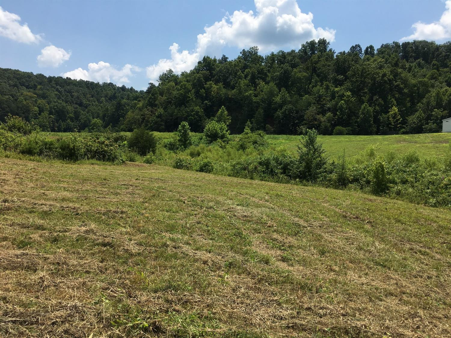 8181 Johnson Road London, KY 40741 - Photo 28 of 41 Photo 28