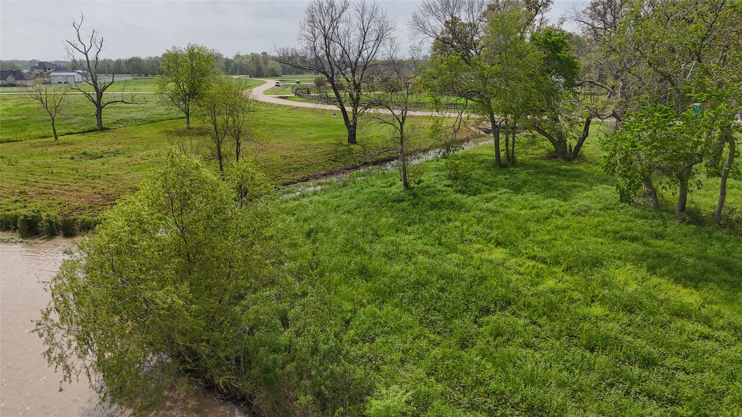 21502 Chenango Lake Drive Angleton, TX 77515 - Photo 4 of 18 a view of yard