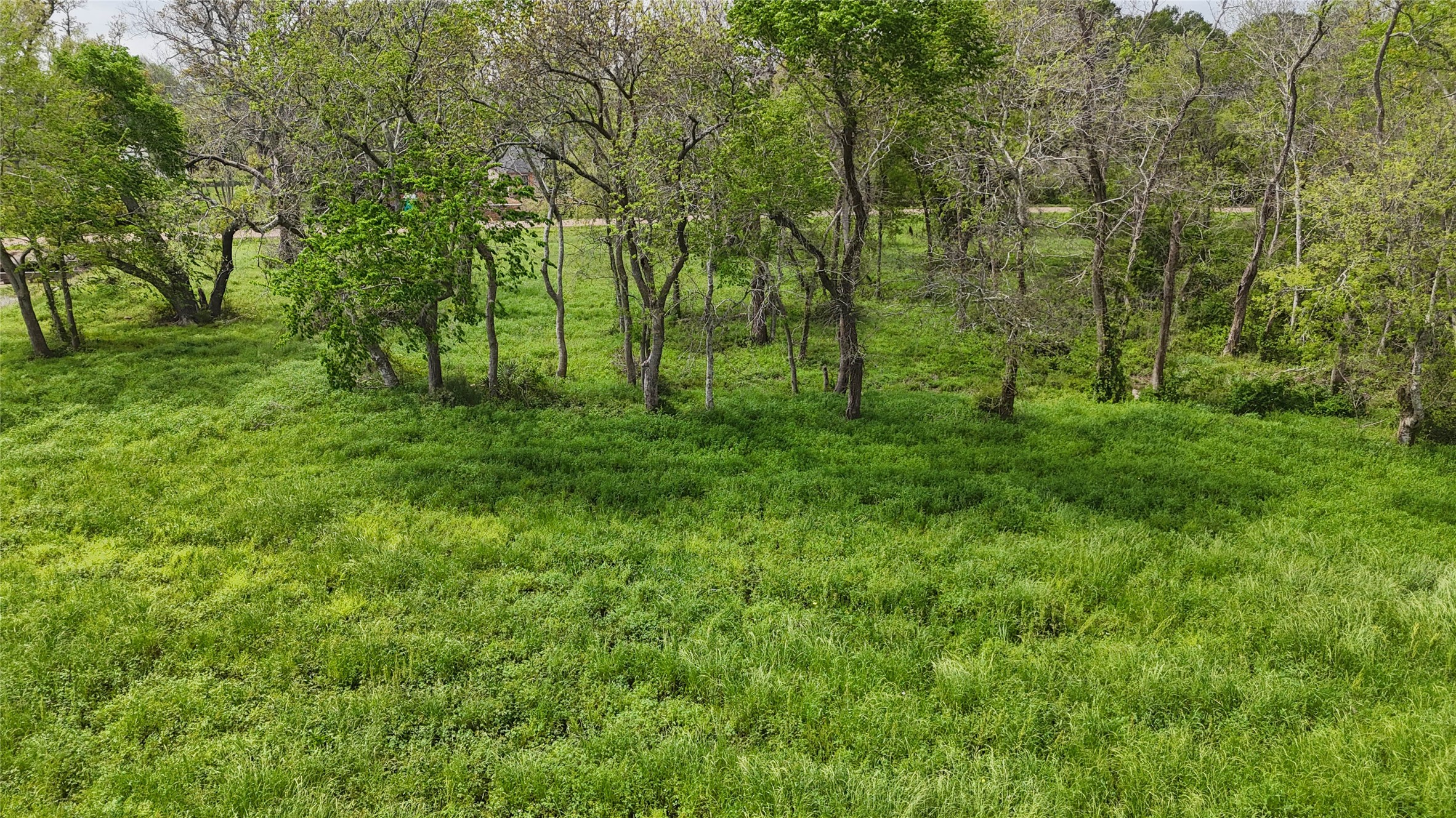 21502 Chenango Lake Drive Angleton, TX 77515 - Photo 8 of 18 a view of a lush green space