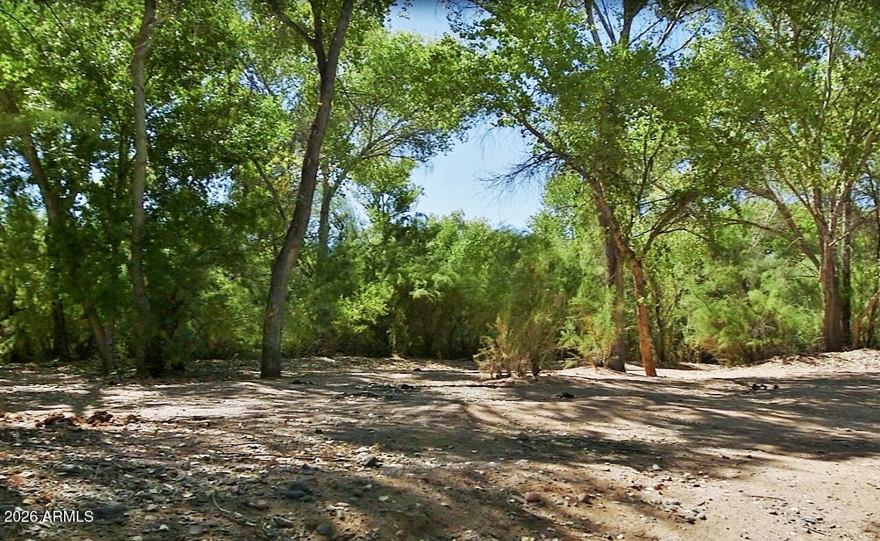 29015 North 168th Street Rio Verde, AZ 85263 - Photo 60 of 67 Box Bar Ranch @ Verde River
