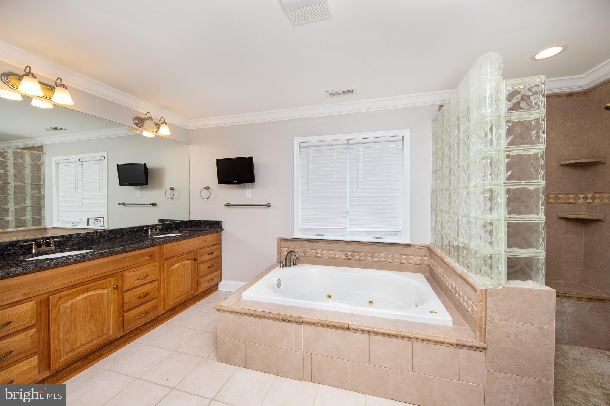 5307 Forge Road White Marsh, MD 21162 - Photo 14 of 45 Your Dream Bath!
