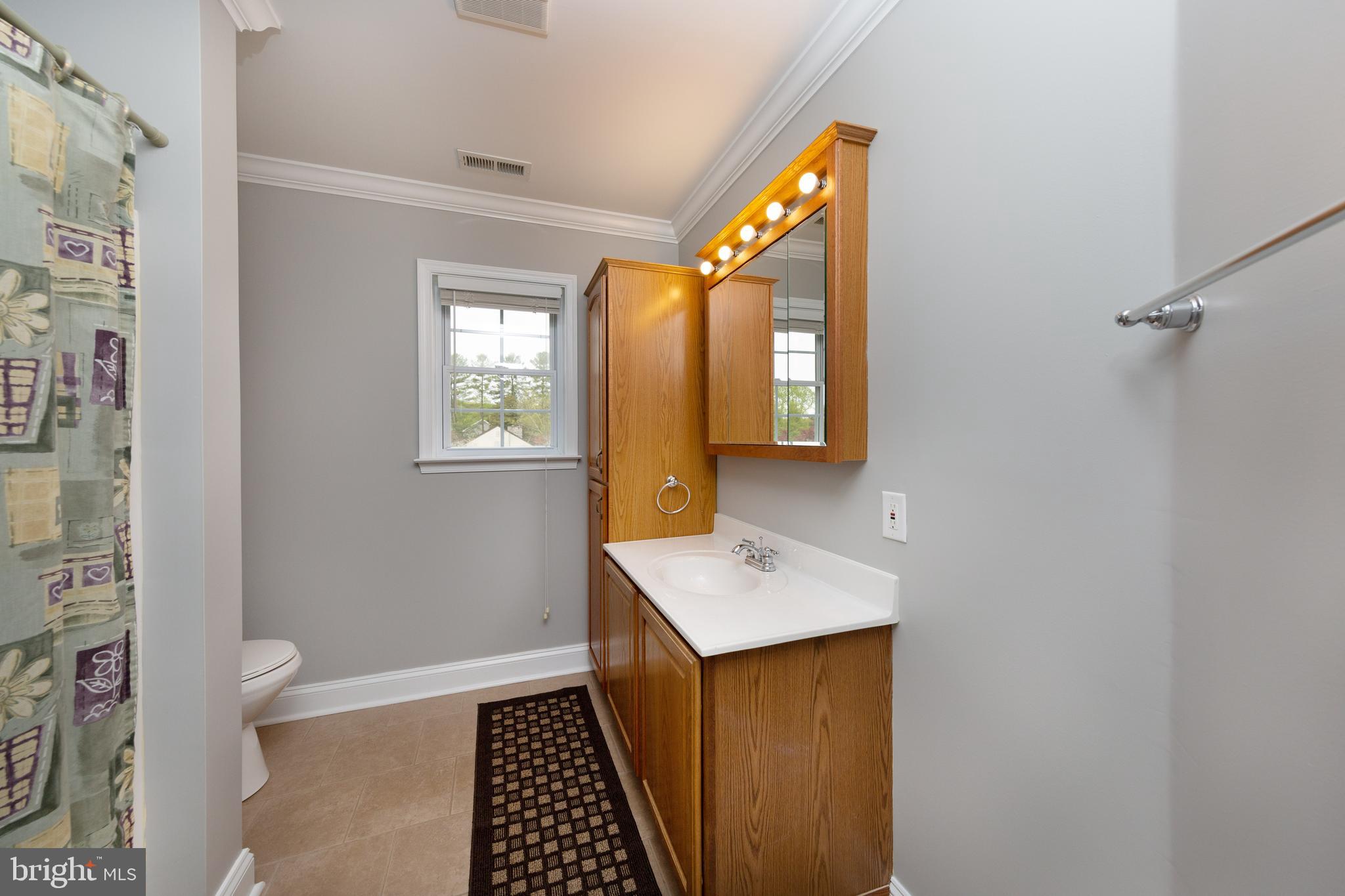 5307 Forge Road White Marsh, MD 21162 - Photo 20 of 45 Modern Hall Bath