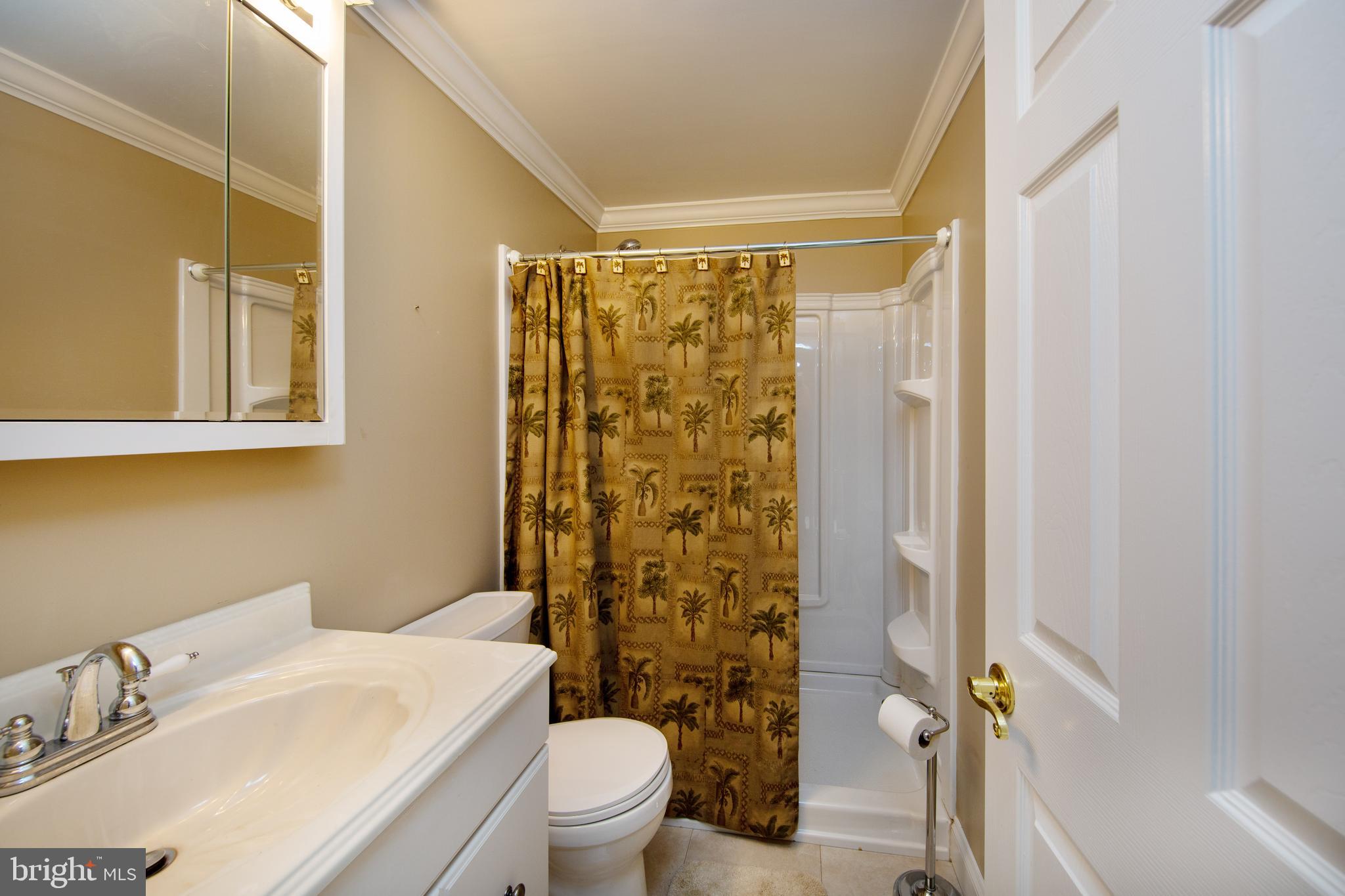 5307 Forge Road White Marsh, MD 21162 - Photo 23 of 45 Main Level full Bath