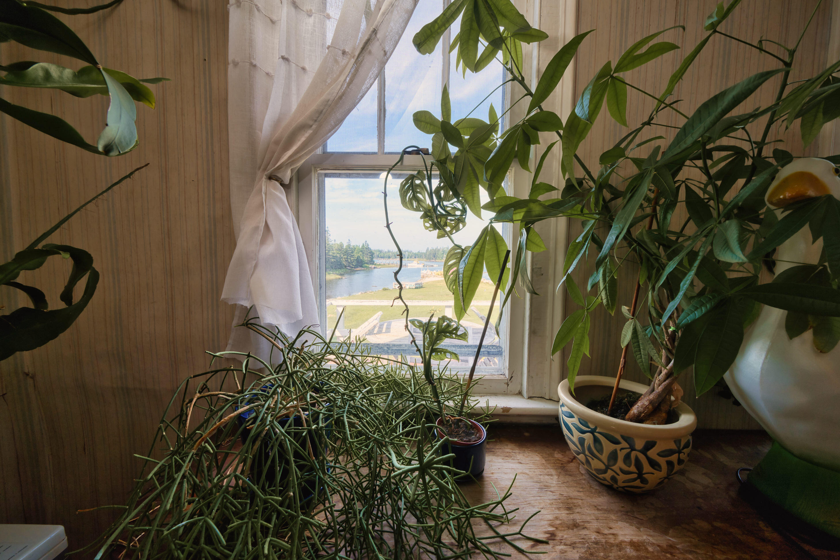 129 East Boston Road Vinalhaven, ME 04863 - Photo 31 of 53 6987