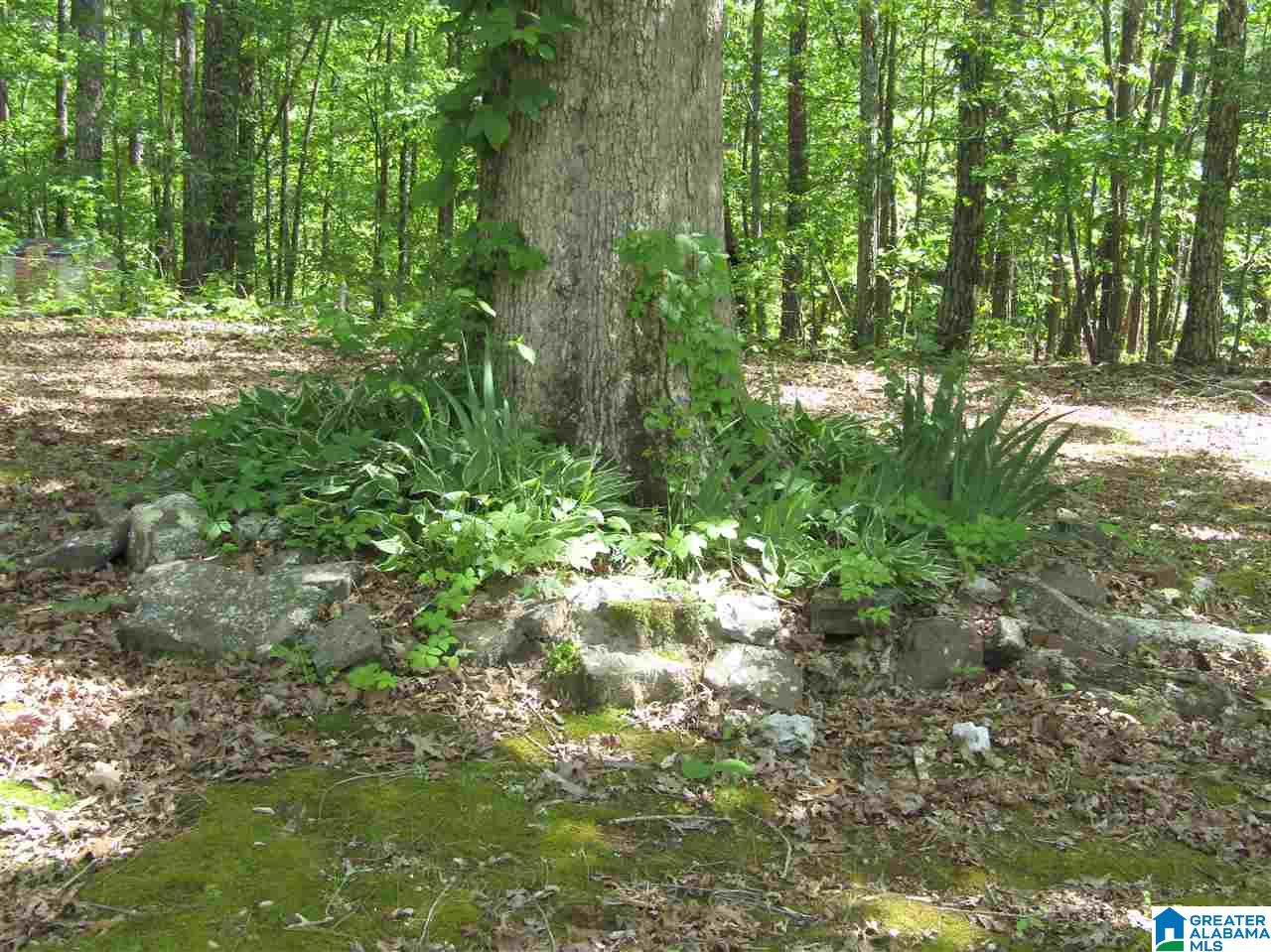 145 Floyd Road Wellington, AL 36279 - Photo 6 of 7