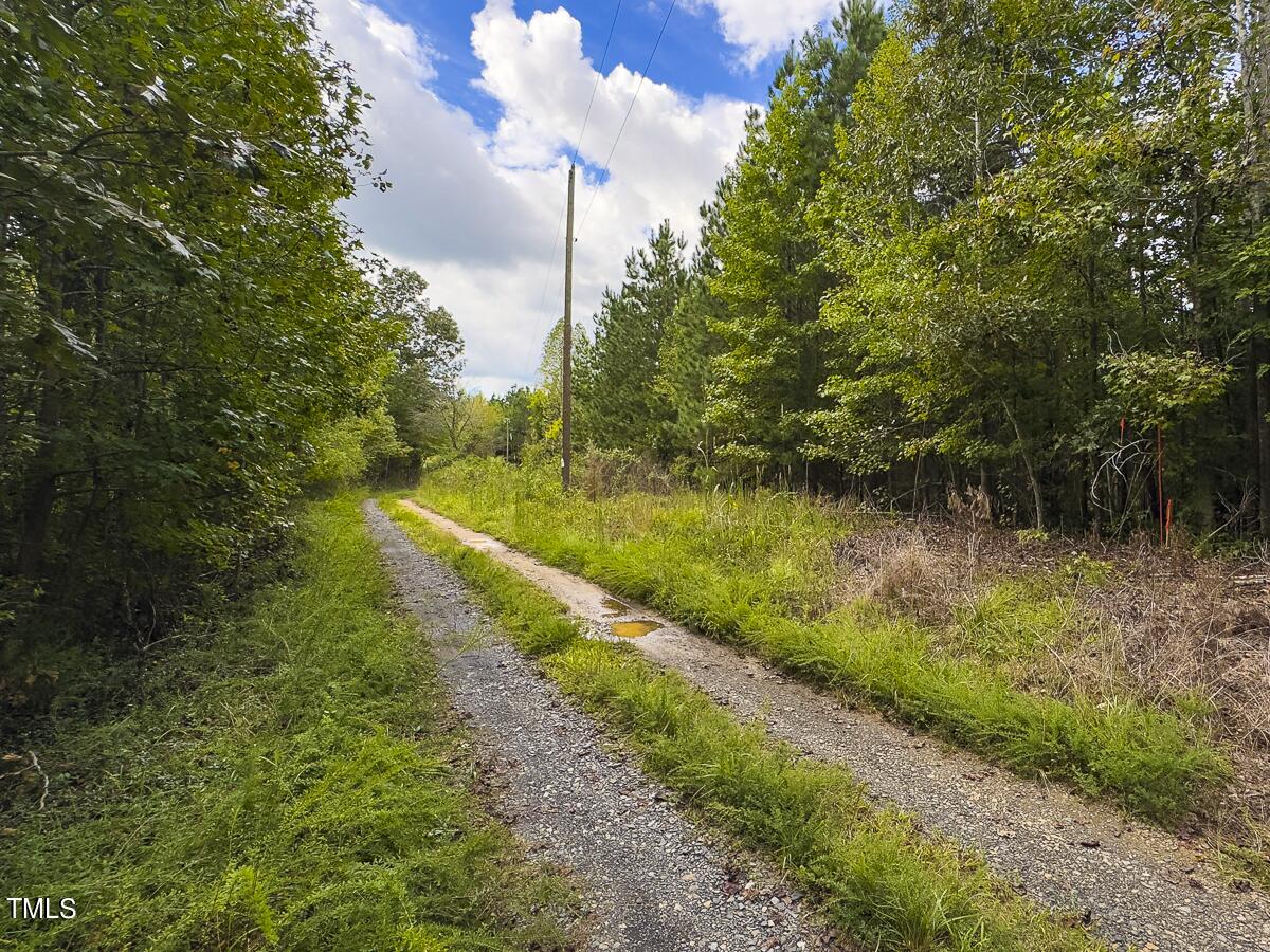 Lot-7-00 Wilson Road Providence, NC 27315 - Photo 41 of 41 Caswell Co. NC 10.03-Backwoods-Lot 7-41