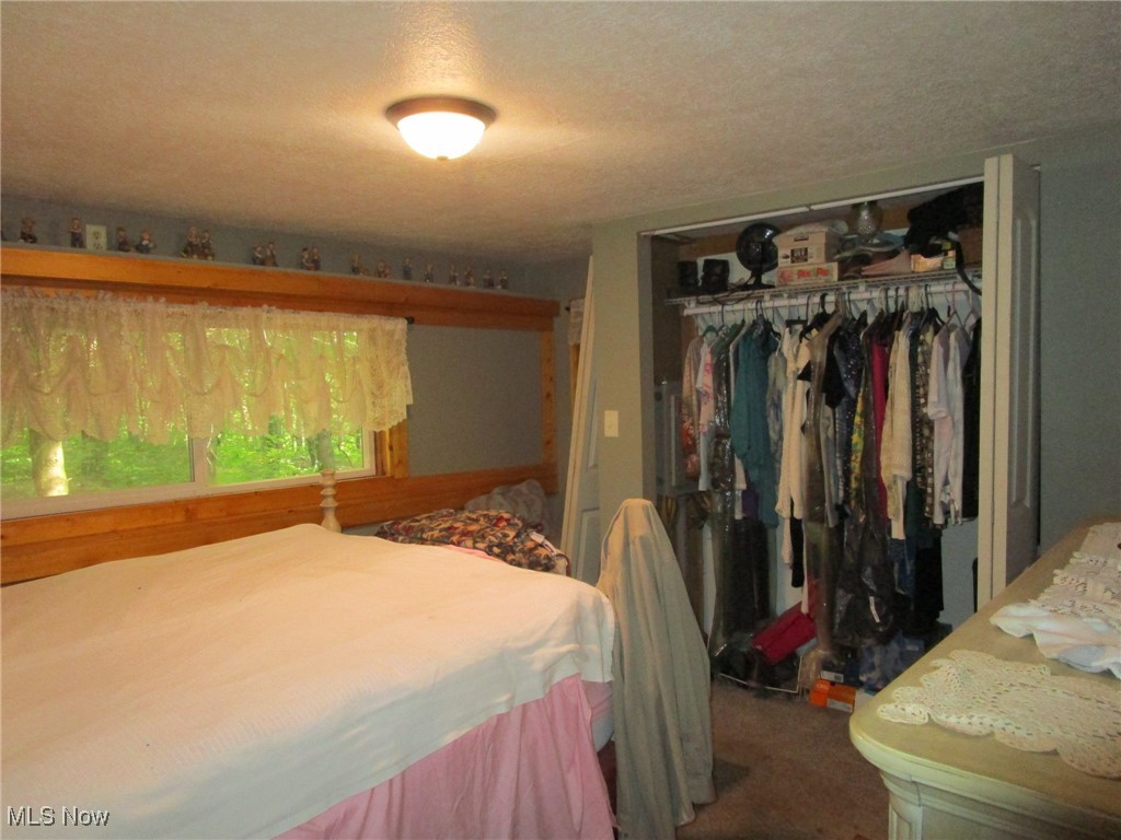 584 Dodgeville Road Rome, OH 44085 - Photo 26 of 50