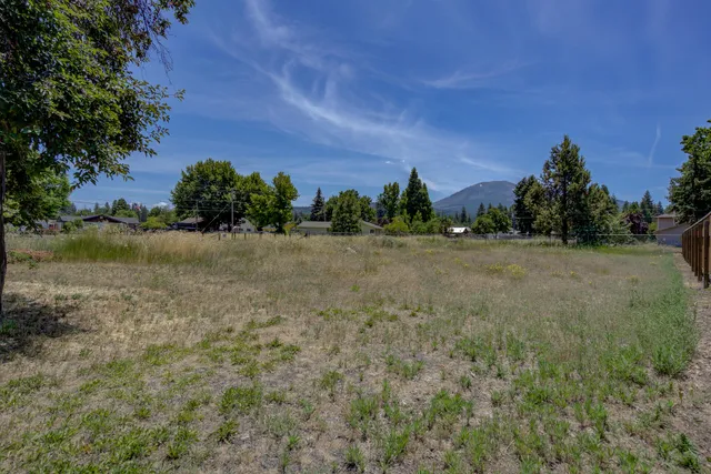 a view of a field with trees in background