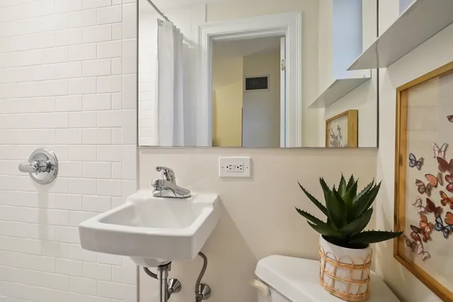 a bathroom with a sink a mirror and a potted plant
