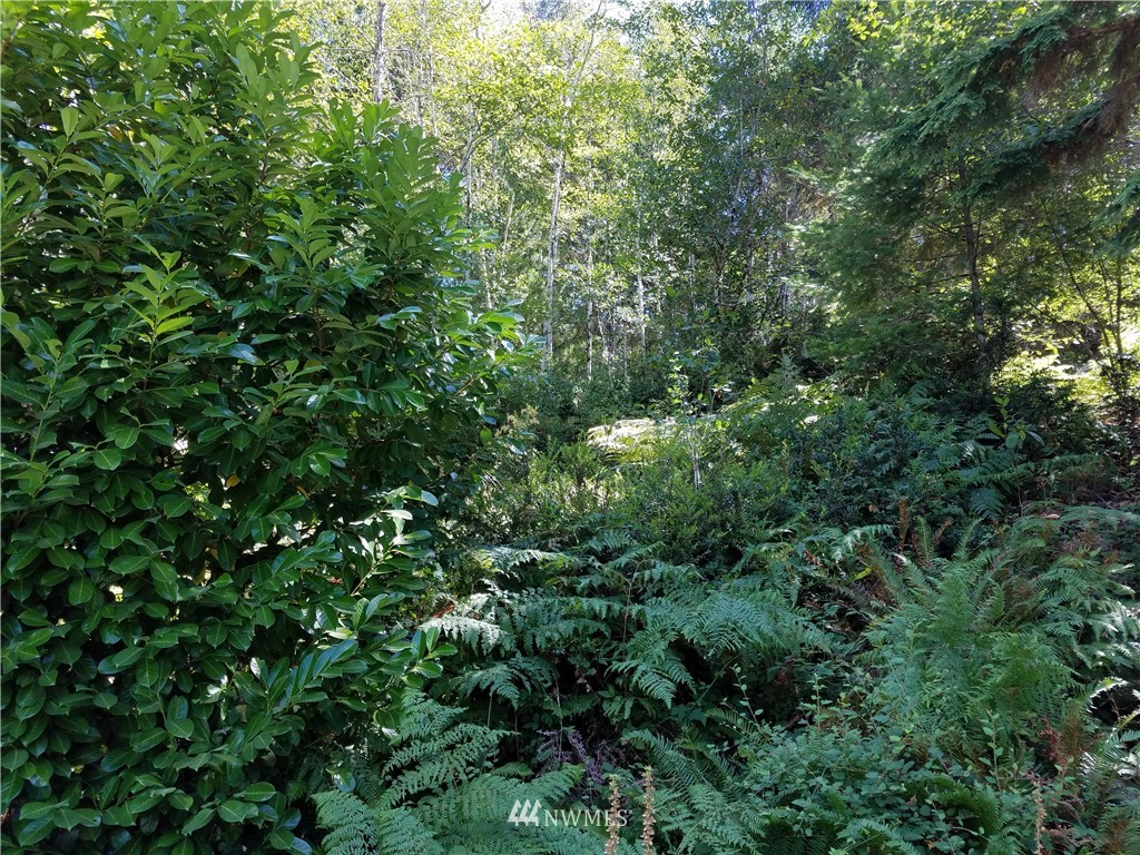 38 Northeast Pine Camp Road Belfair, WA 98528 - Photo 1 of 1 Gallery Image 1