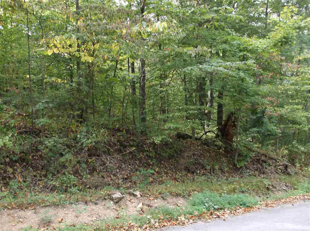 Iron Mountain Road Bloomfield, IN 47424 - Photo 1 of 2