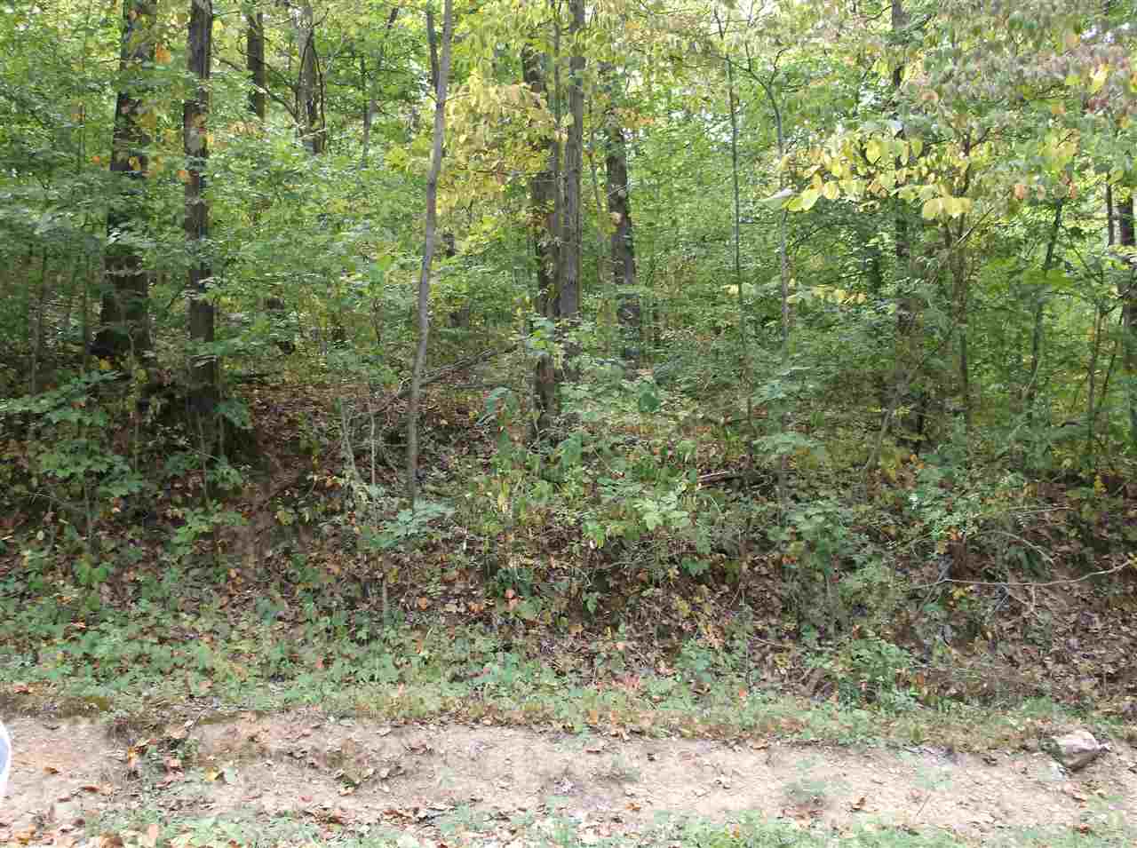 Iron Mountain Road Bloomfield, IN 47424 - Photo 2 of 2