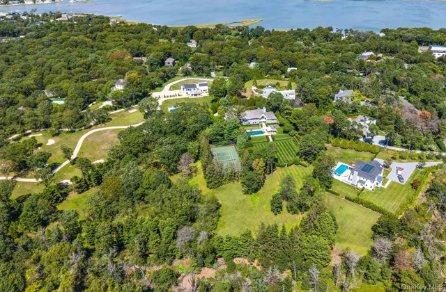 an aerial view of residential houses with outdoor space and trees