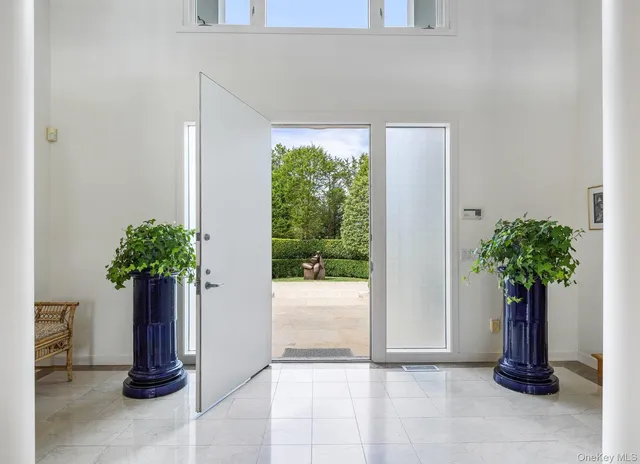 a potted plant sitting in front of a house
