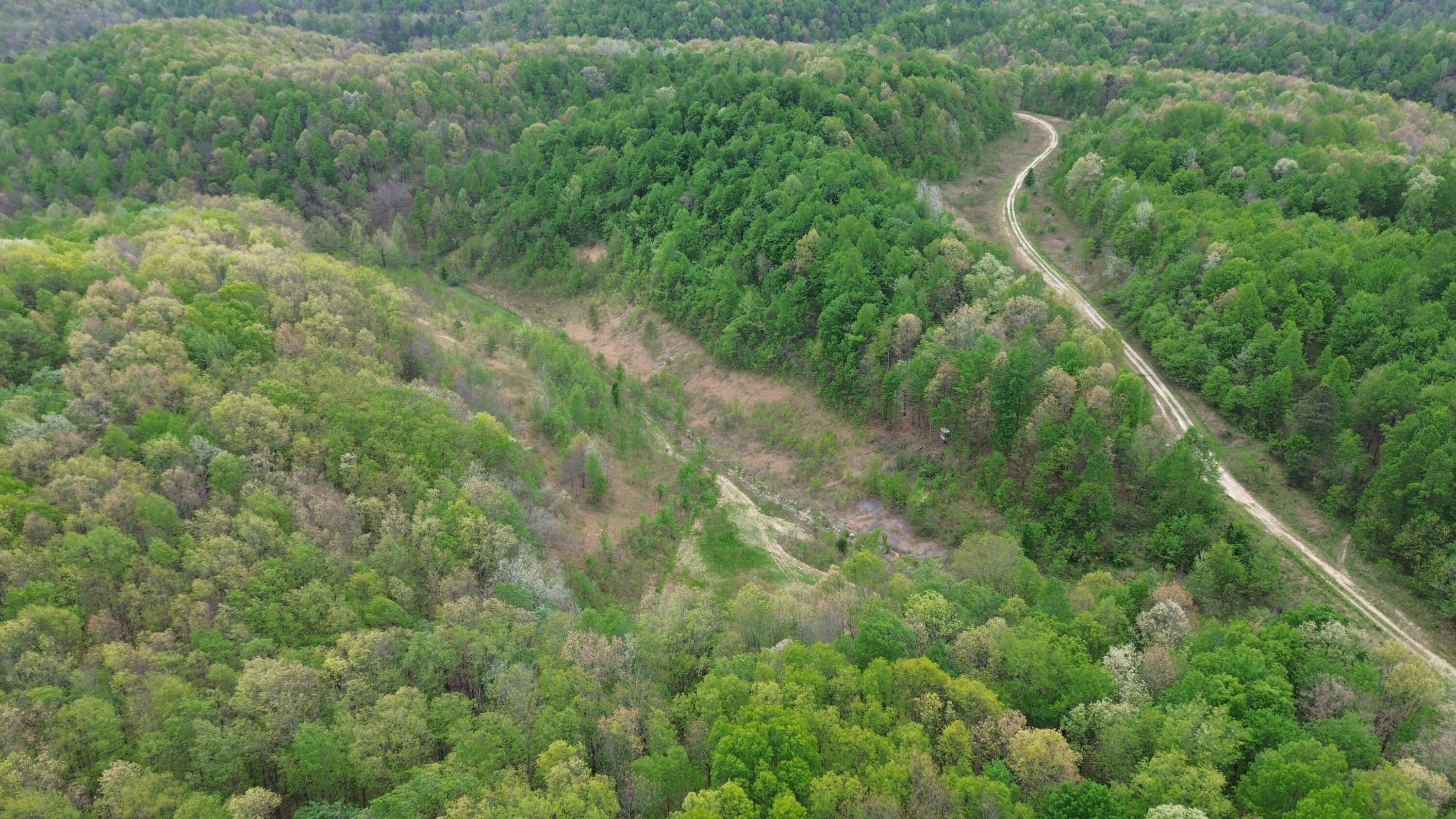 1271 A Tunnel Ridge Road Grayson, KY 41143 - Photo 48 of 134 Property View
