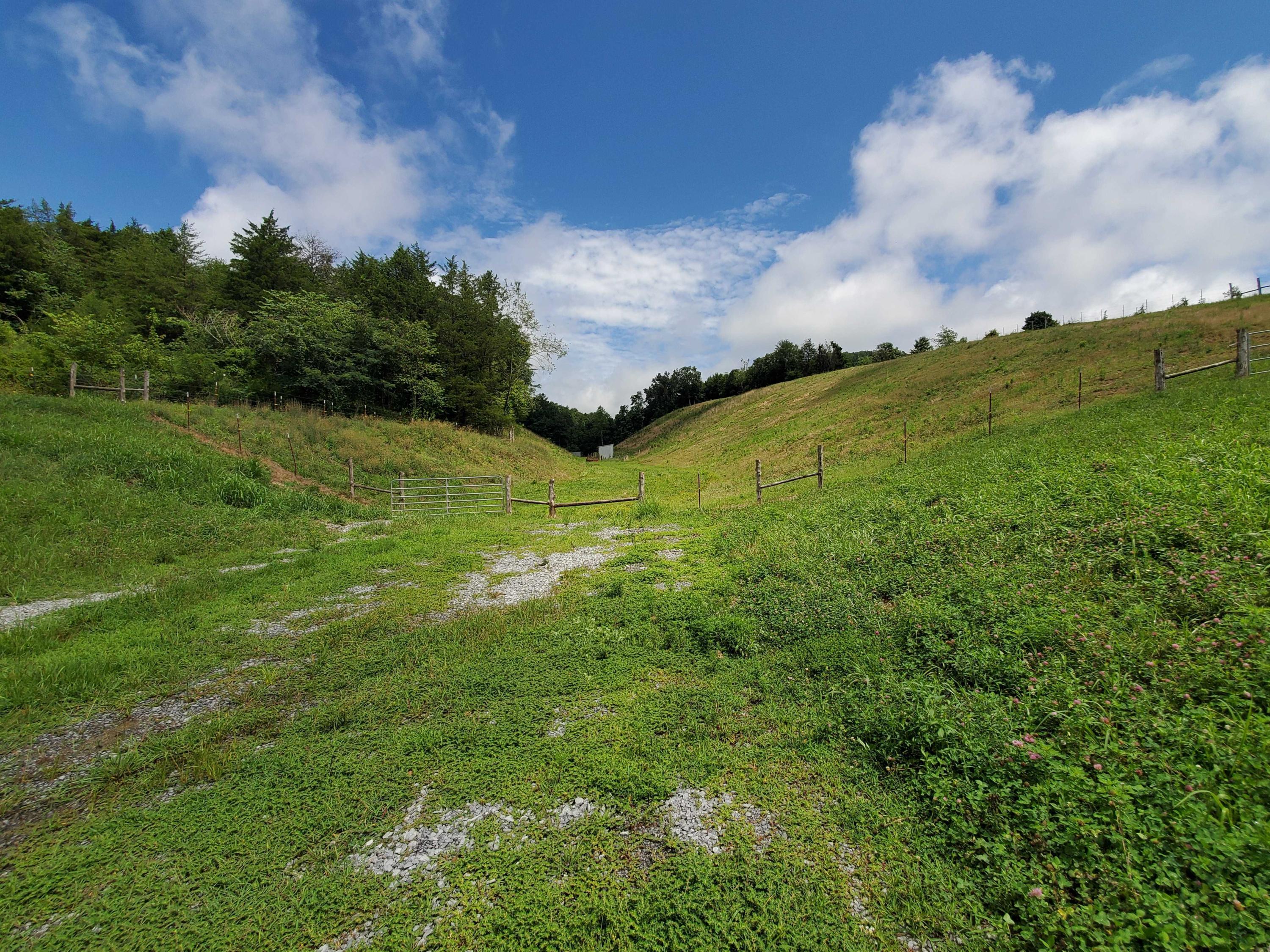 Lot 1 Maples Branch Road Sevierville, TN 37876 - Photo 1 of 7 20200803_122803