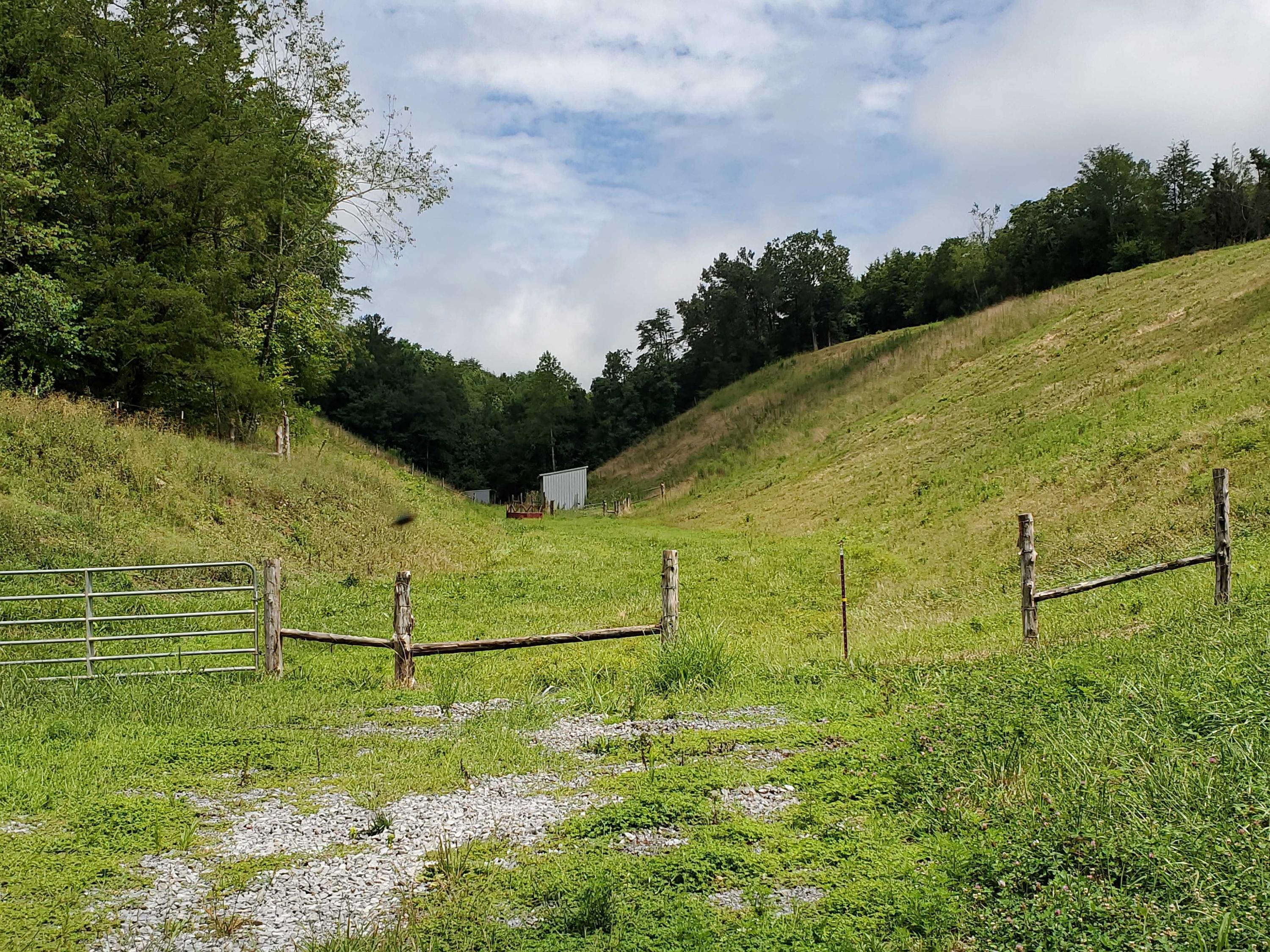 Lot 1 Maples Branch Road Sevierville, TN 37876 - Photo 2 of 7 20200803_122806