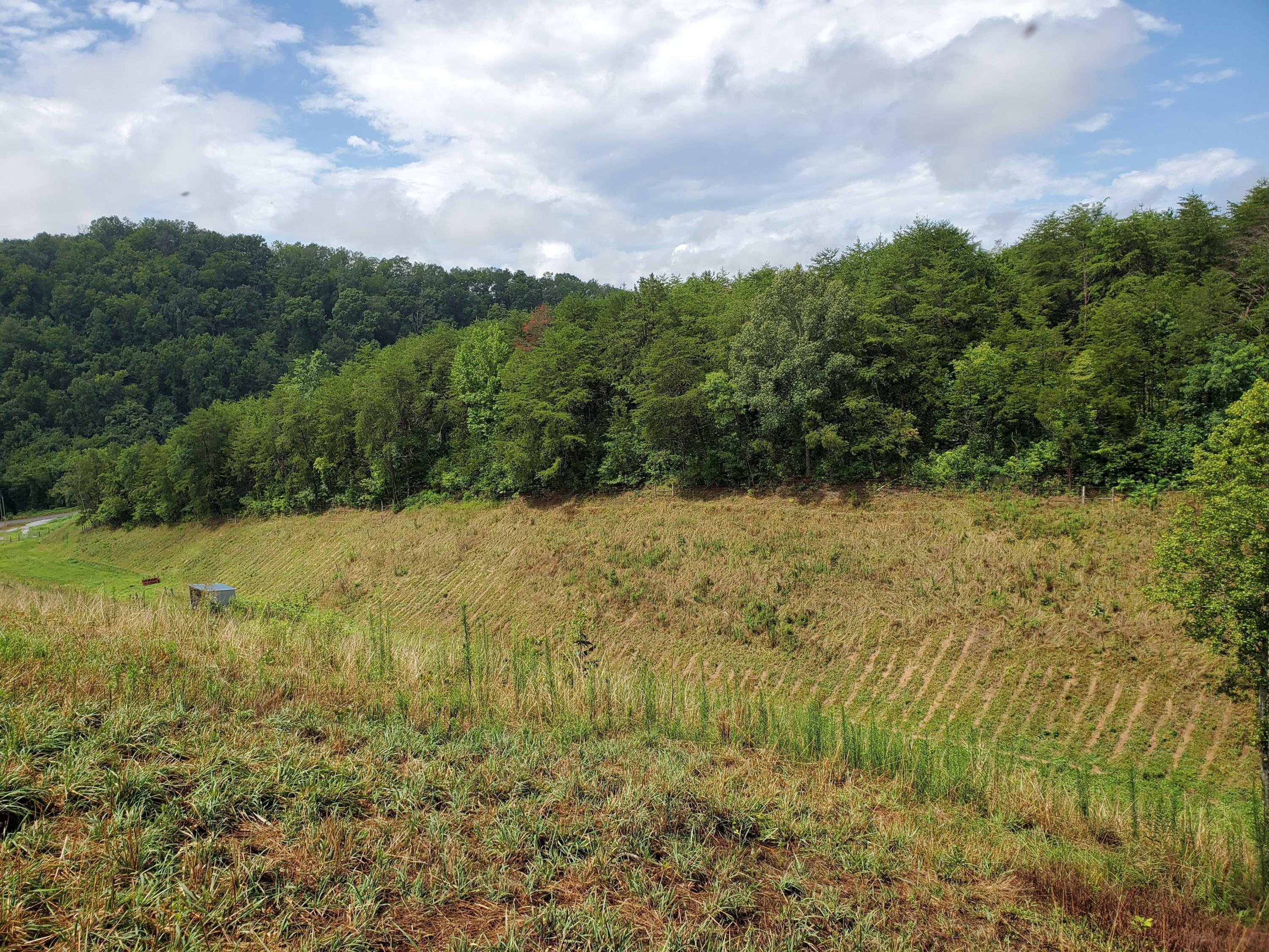 Lot 1 Maples Branch Road Sevierville, TN 37876 - Photo 3 of 7 20200803_121548