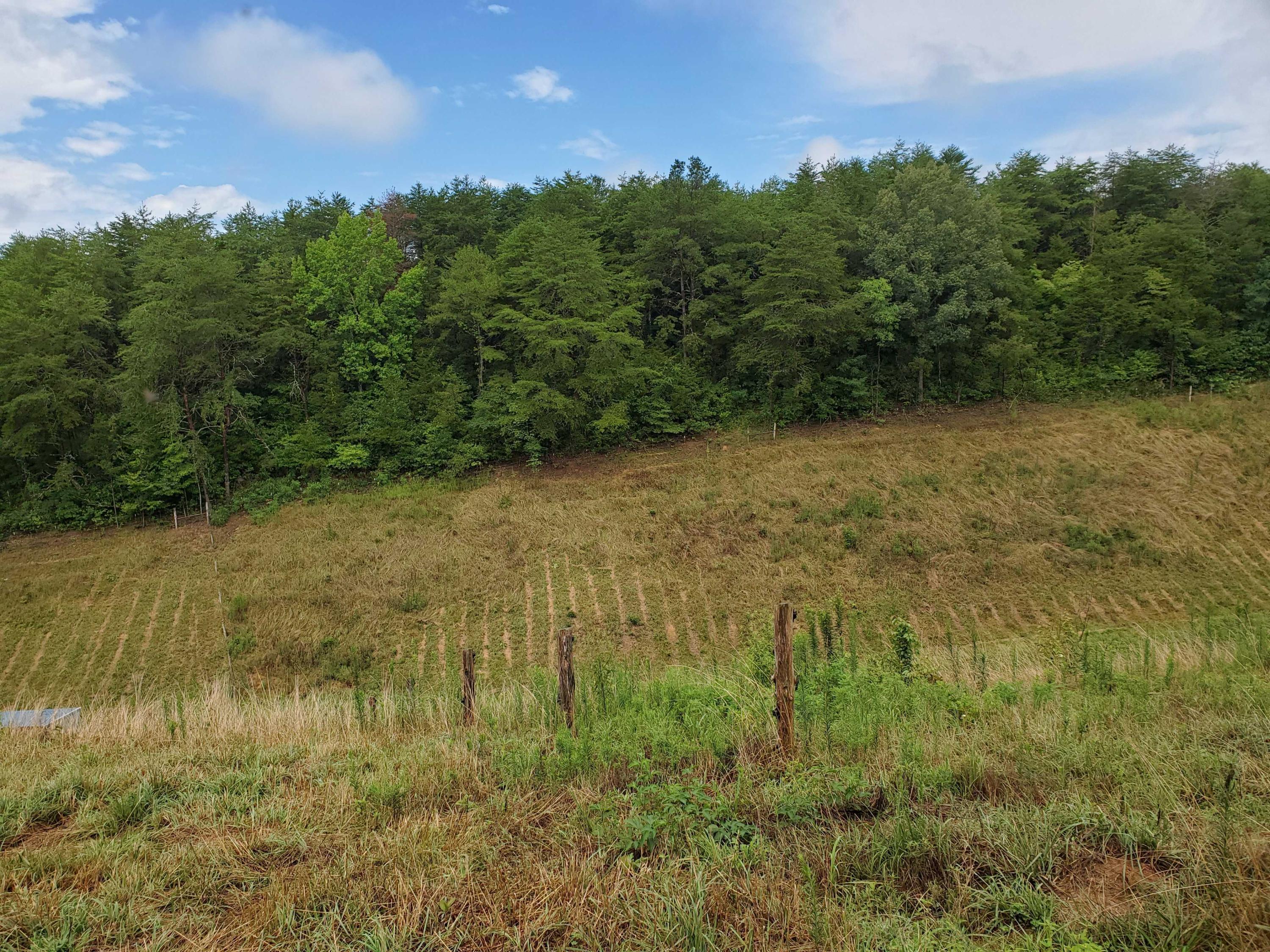 Lot 1 Maples Branch Road Sevierville, TN 37876 - Photo 6 of 7 20200803_121326