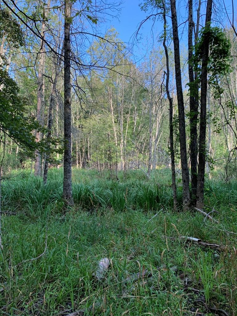 Tbd Lost Lake Road Egg Harbor, WI 54209 - Photo 6 of 29