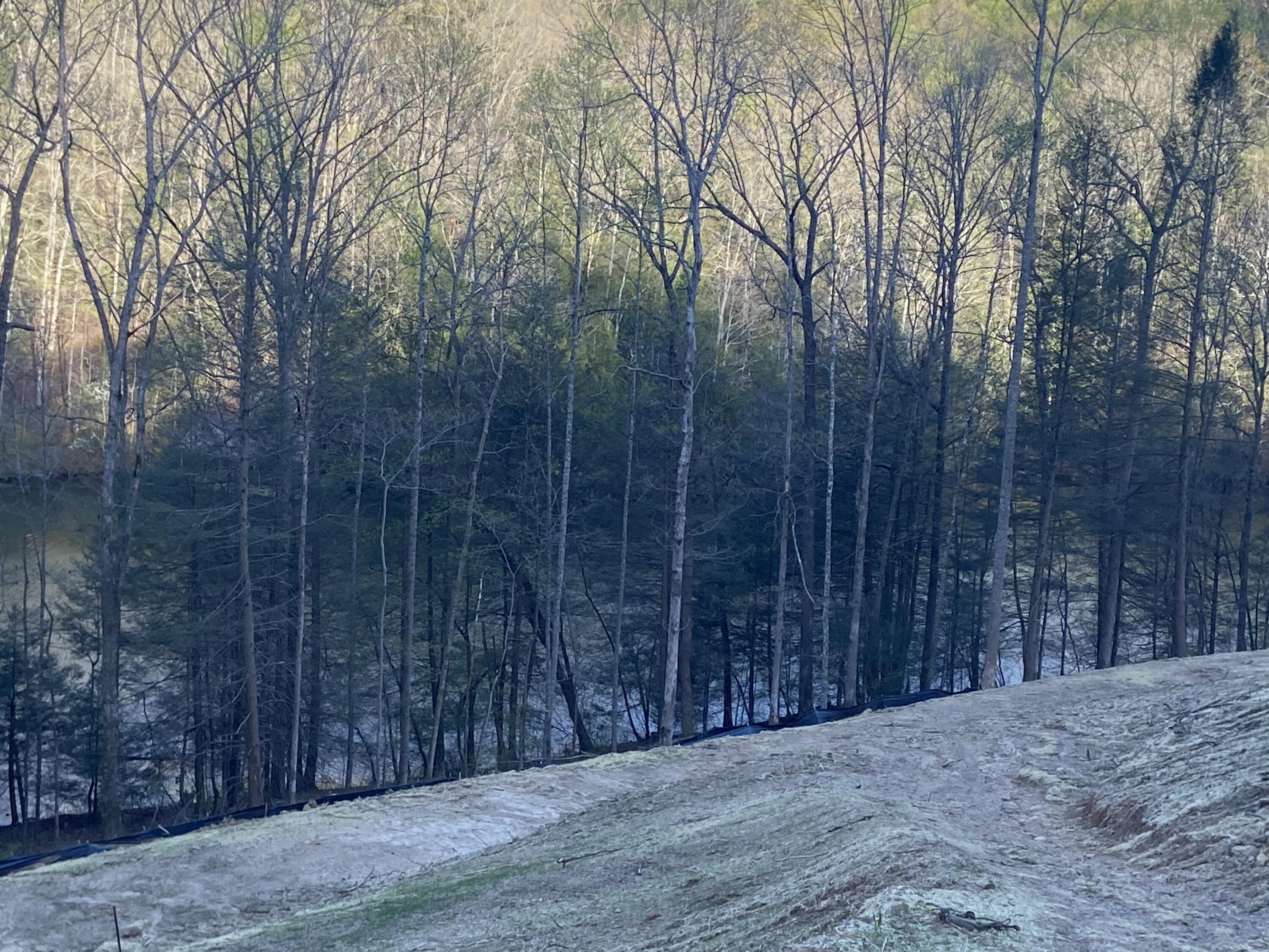 577 Cliffs Edge Road East Bernstadt, KY 40729 - Photo 8 of 11 IMG_4897