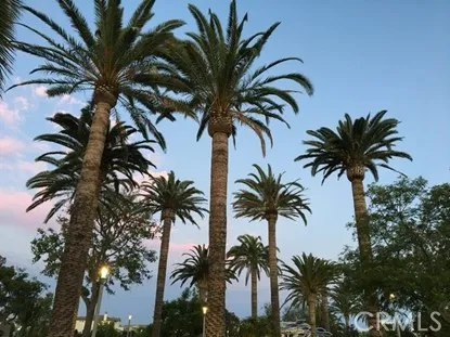 a view of a park with plants and trees