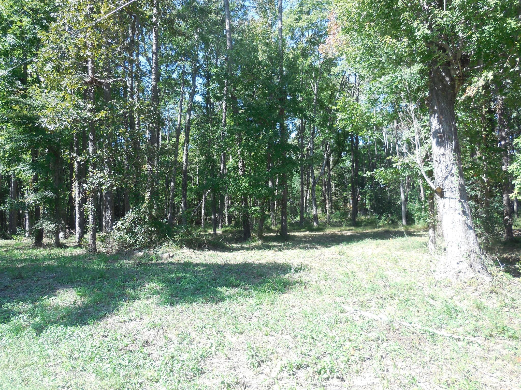 1 Woodland Road, Unit 1 Matthews, NC 28104 - Photo 1 of 3 Gallery Image 1