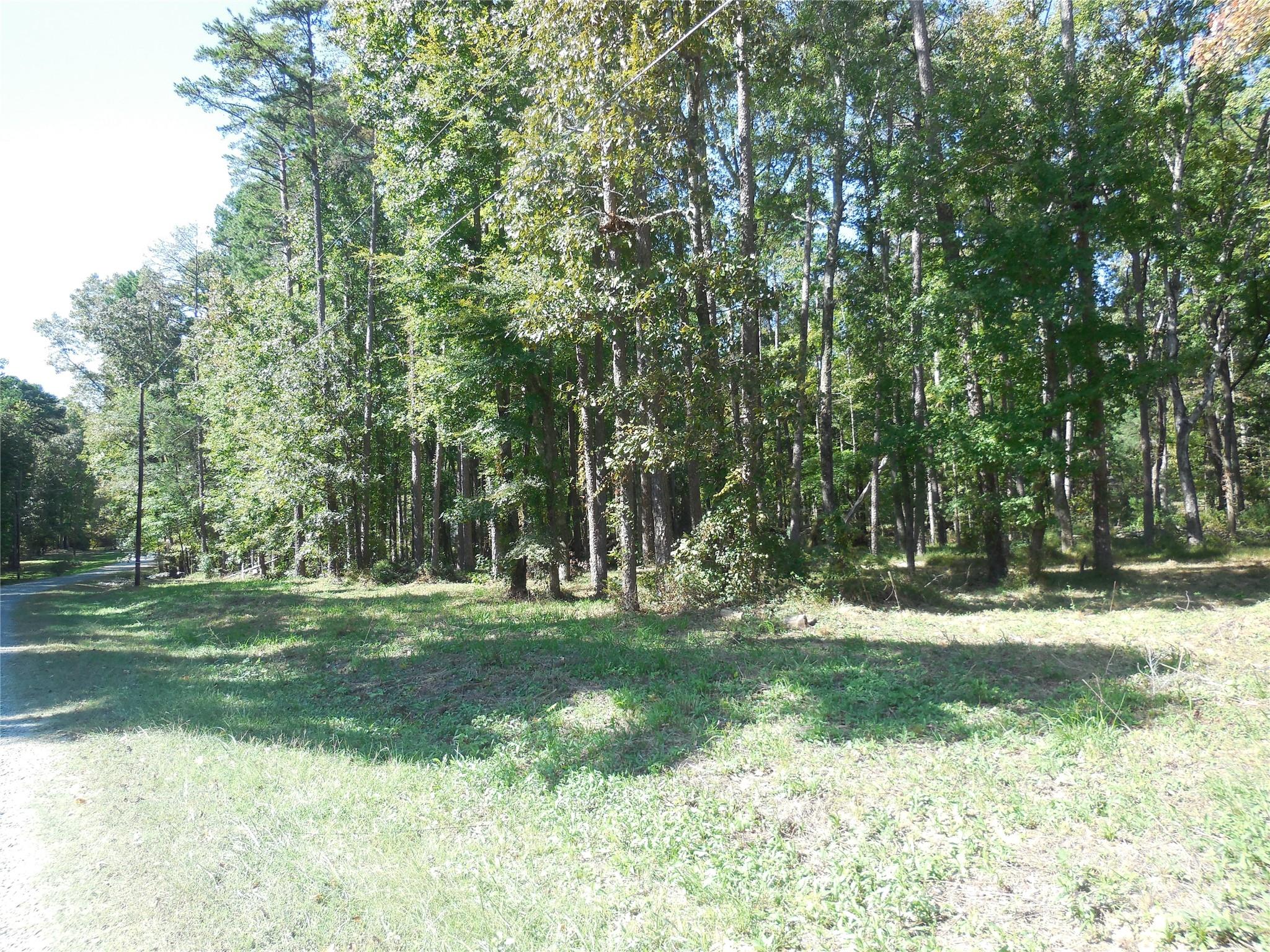1 Woodland Road, Unit 1 Matthews, NC 28104 - Photo 2 of 3 Gallery Image 2